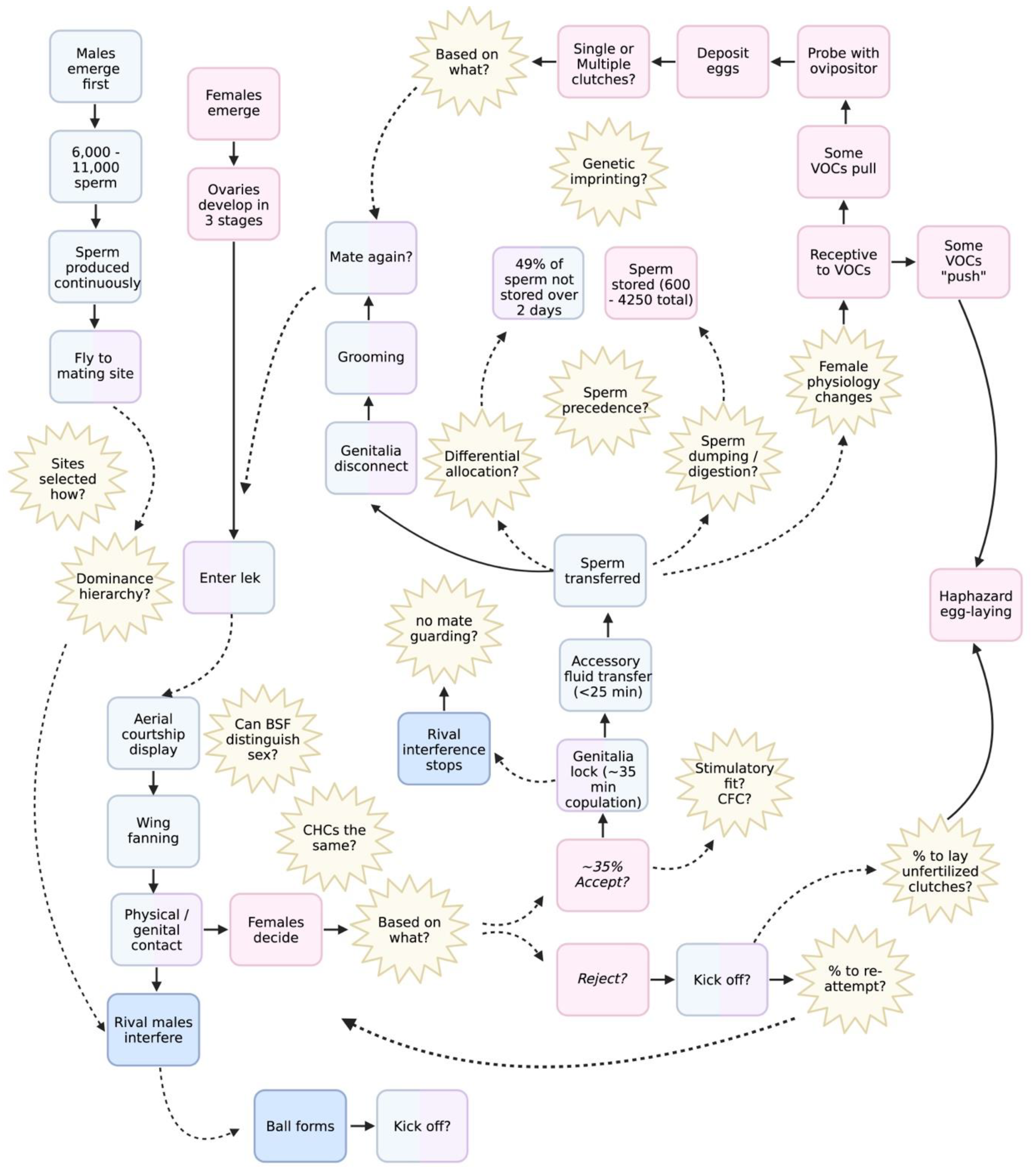 Preprints 174187 g001