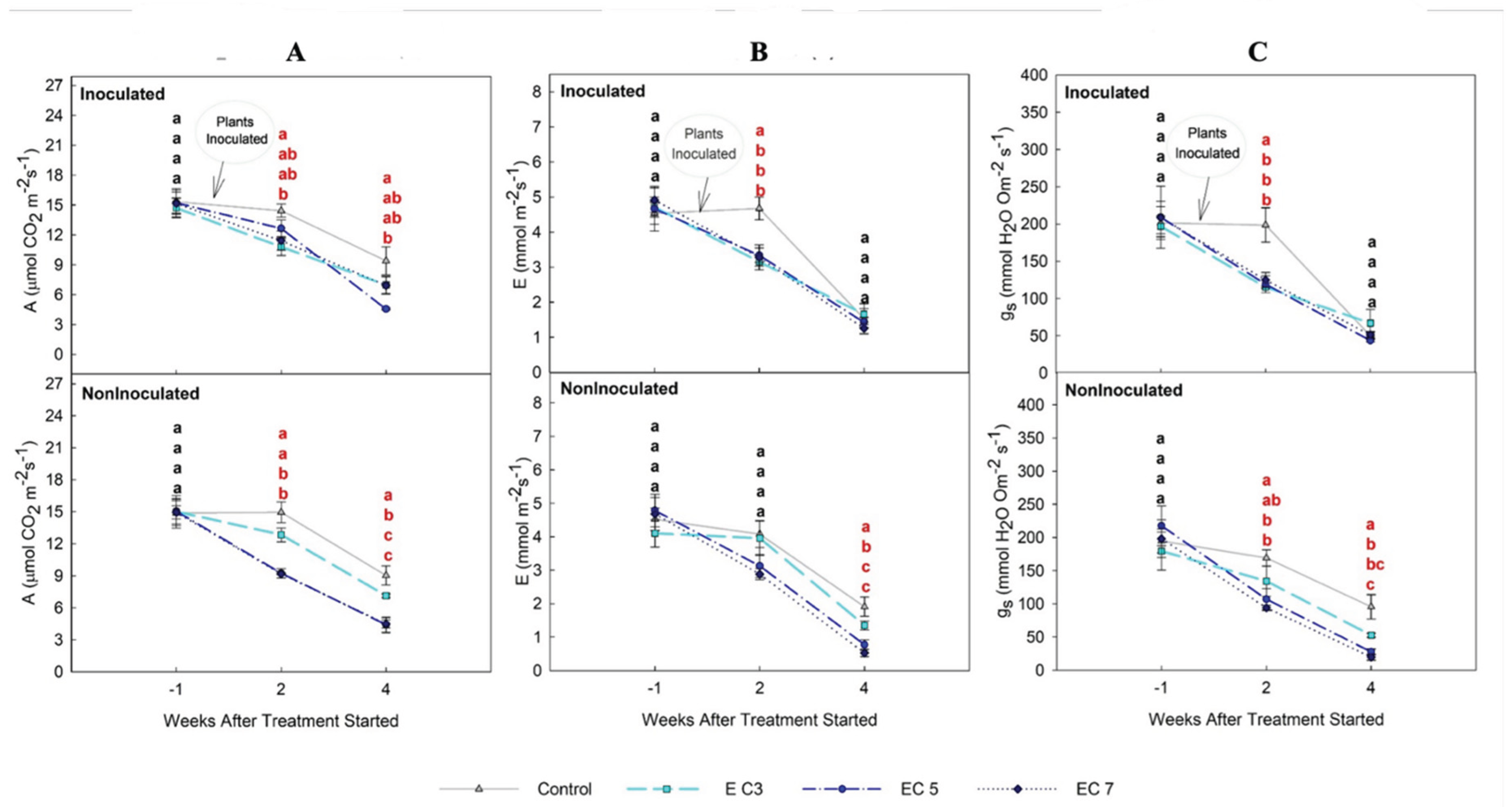 Preprints 222663 g002