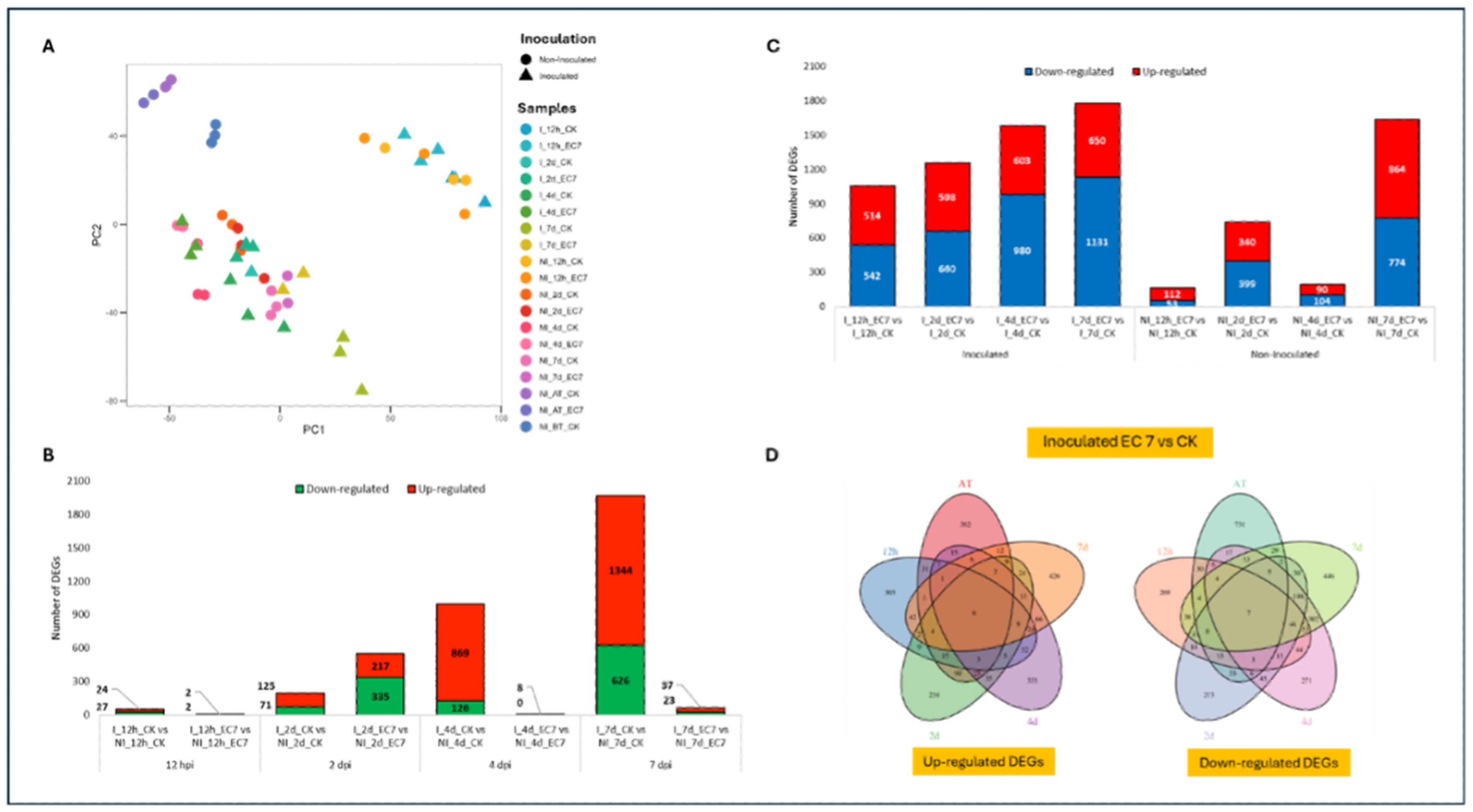 Preprints 222663 g005