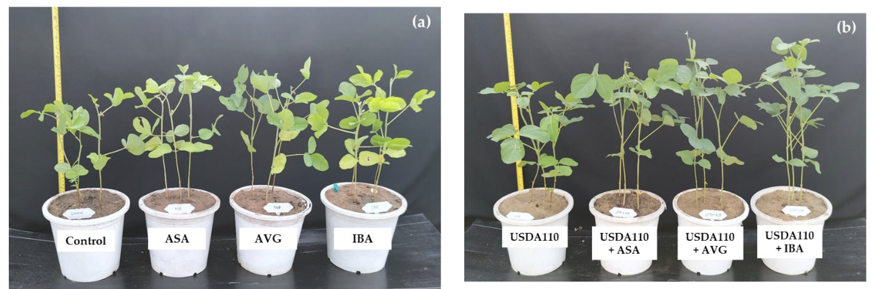 Preprints 185177 g003
