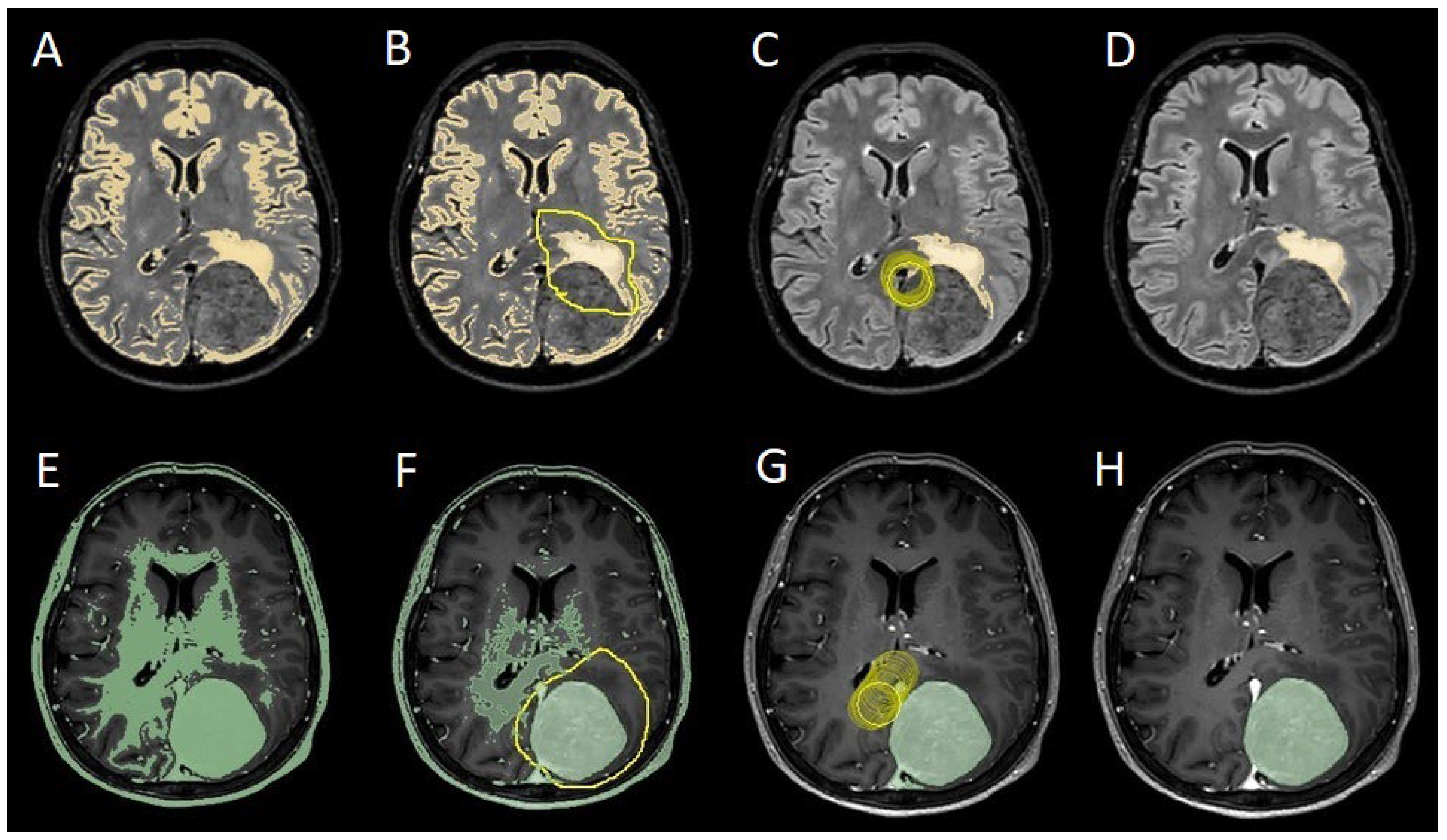 Preprints 152917 g002