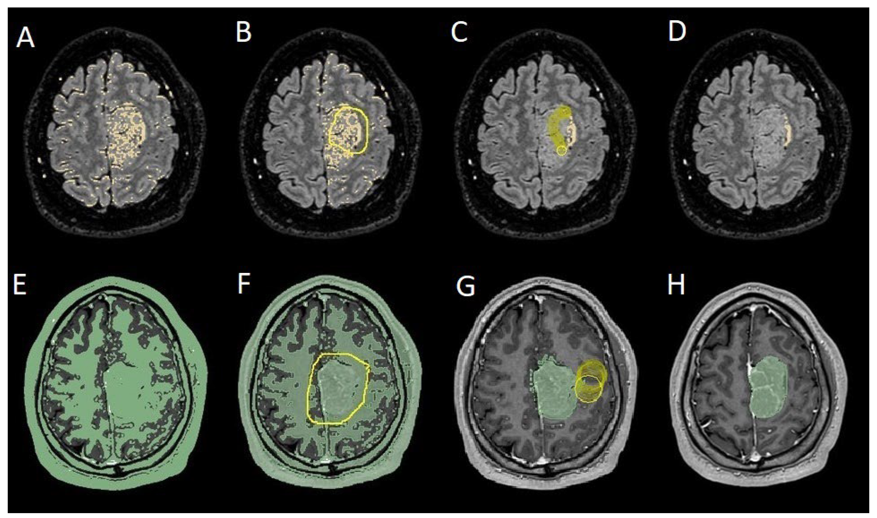 Preprints 152917 g004