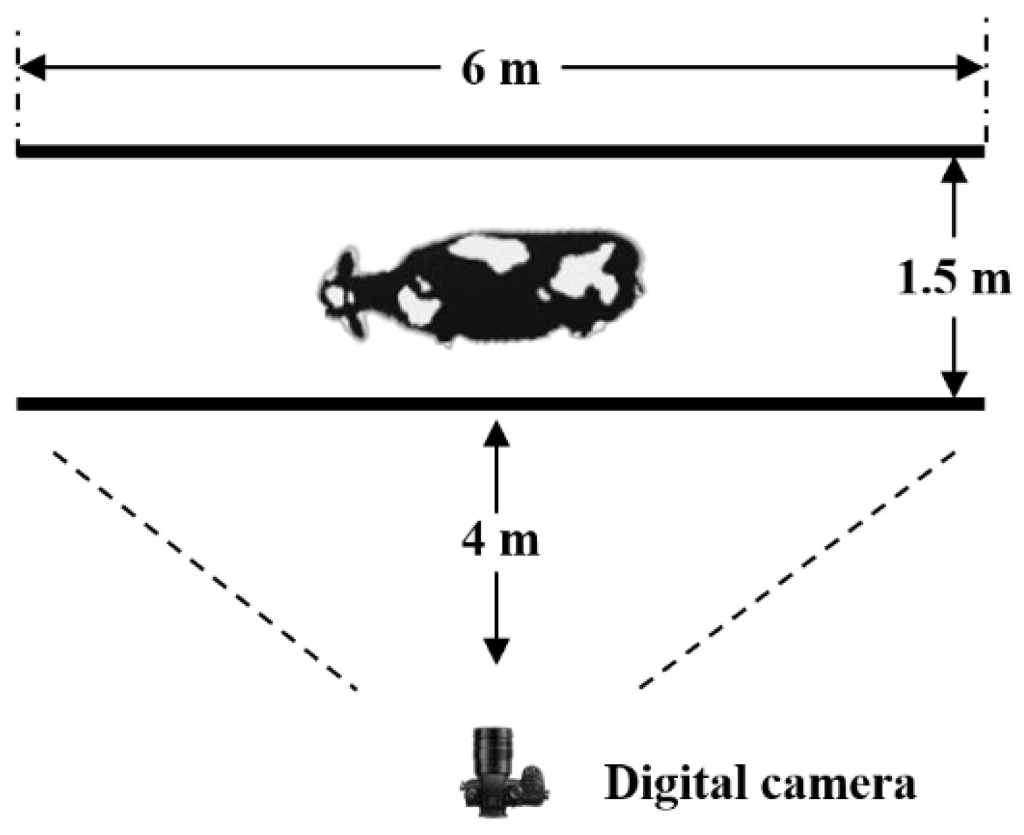 Preprints 158500 g001