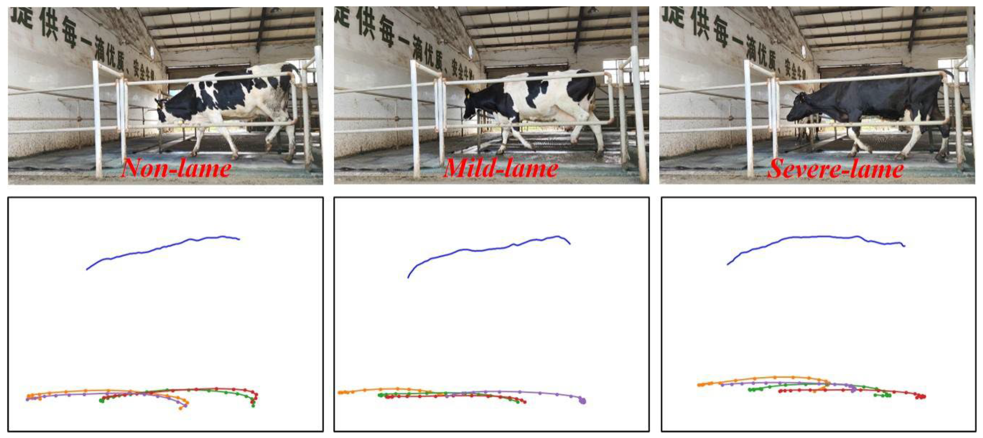 Preprints 158500 g008