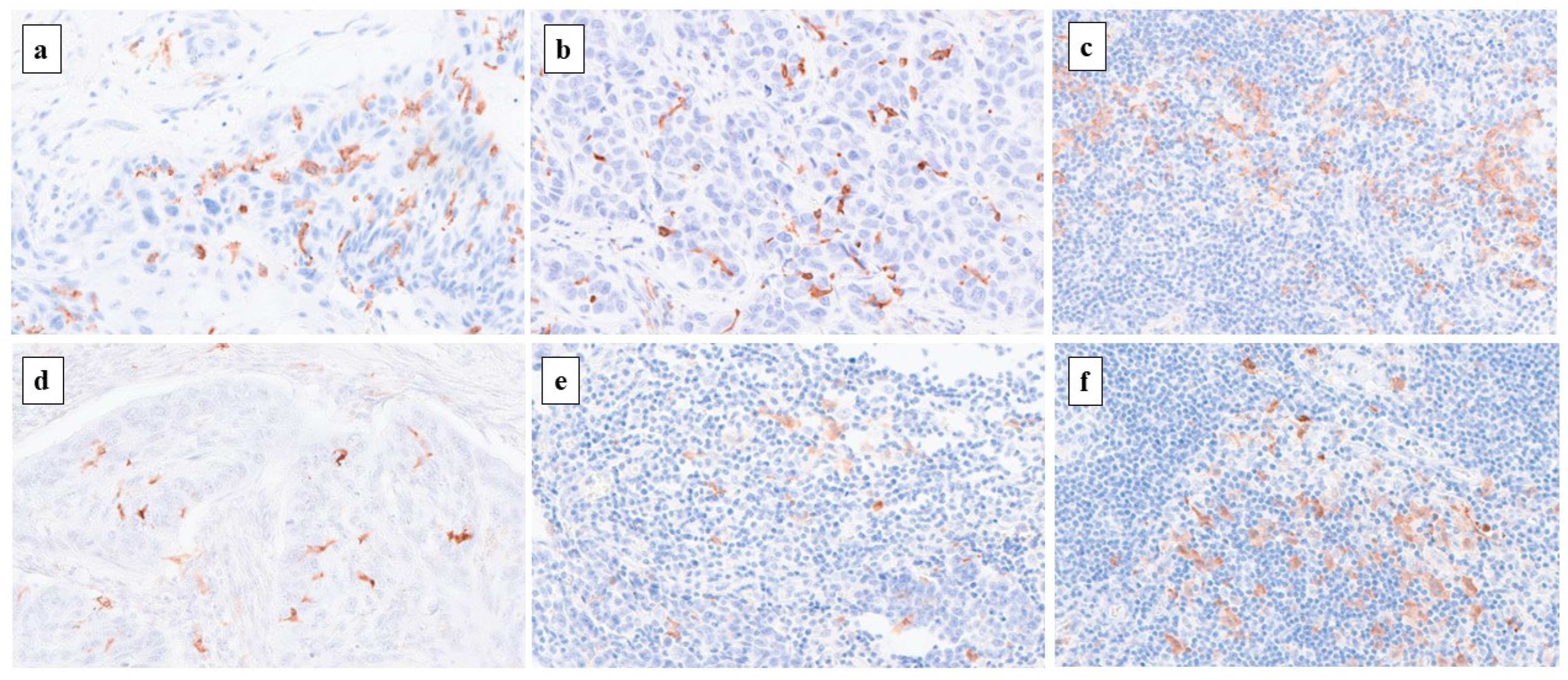 Preprints 96698 g004