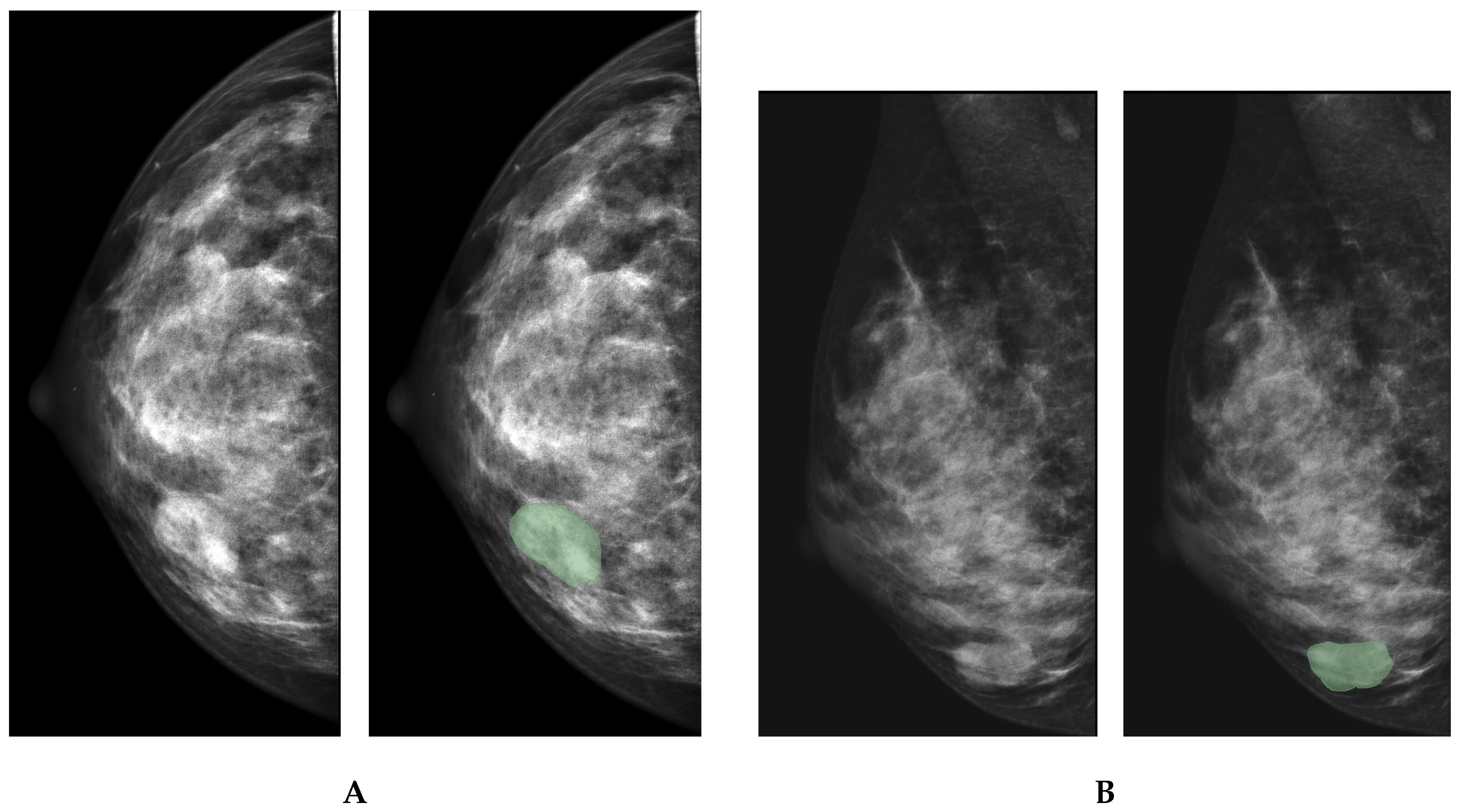 Preprints 192743 g001