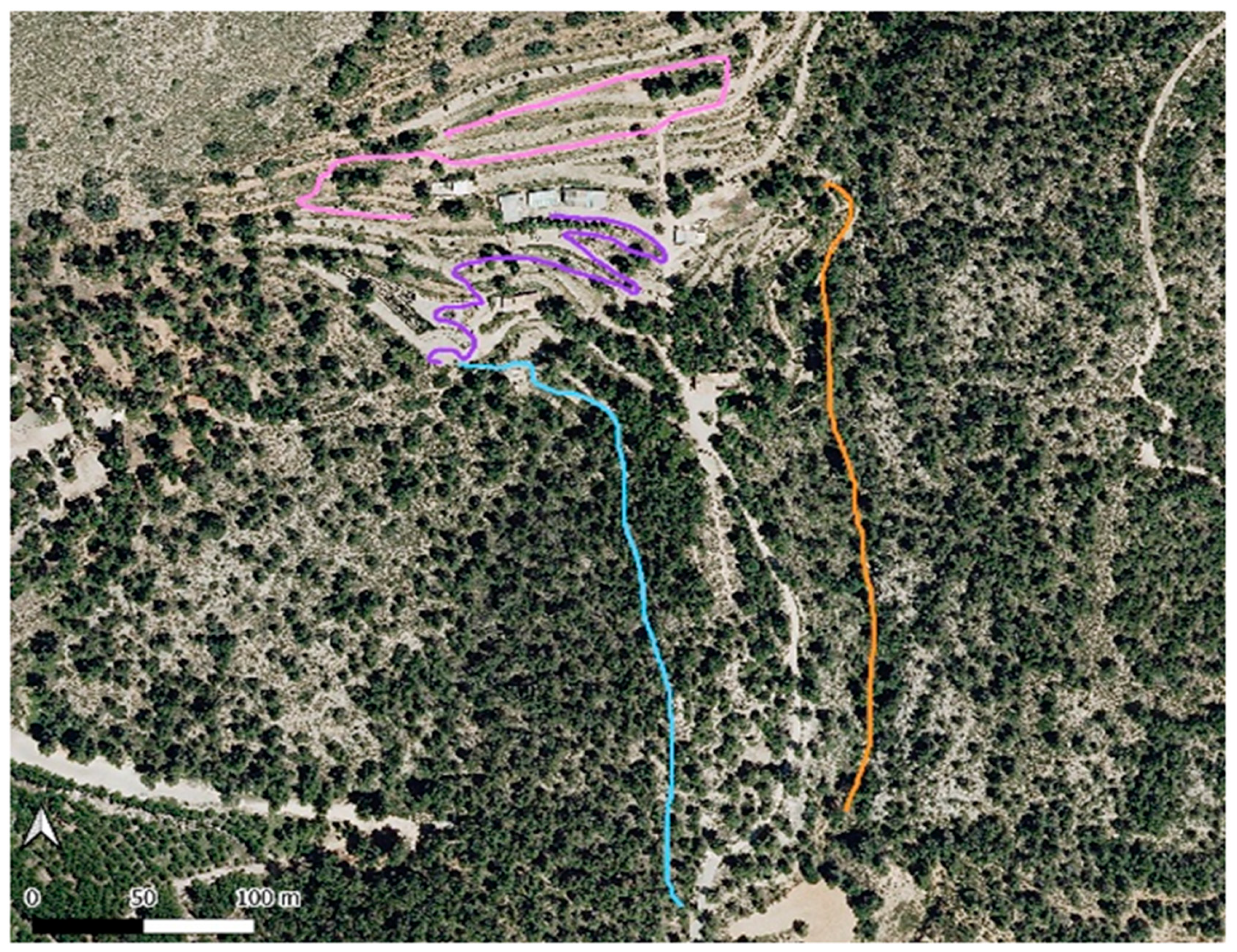Preprints 158941 g001