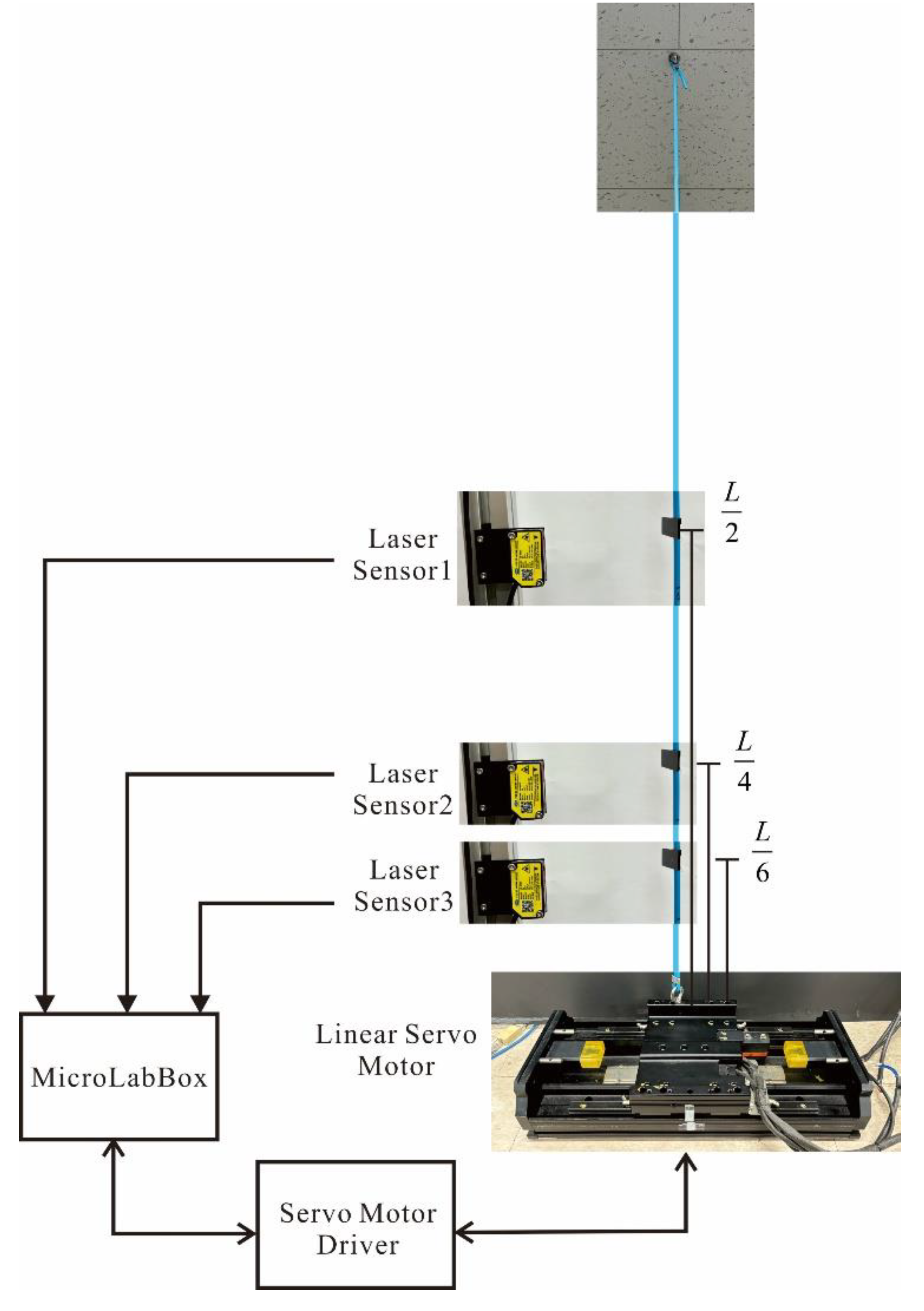 Preprints 158627 g007