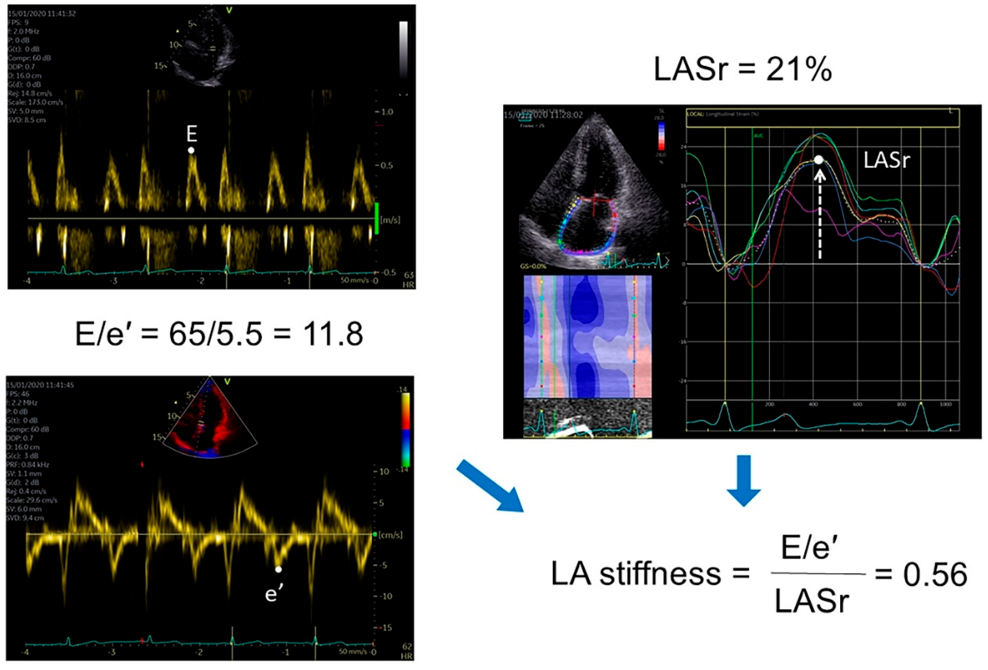 Preprints 171680 g002