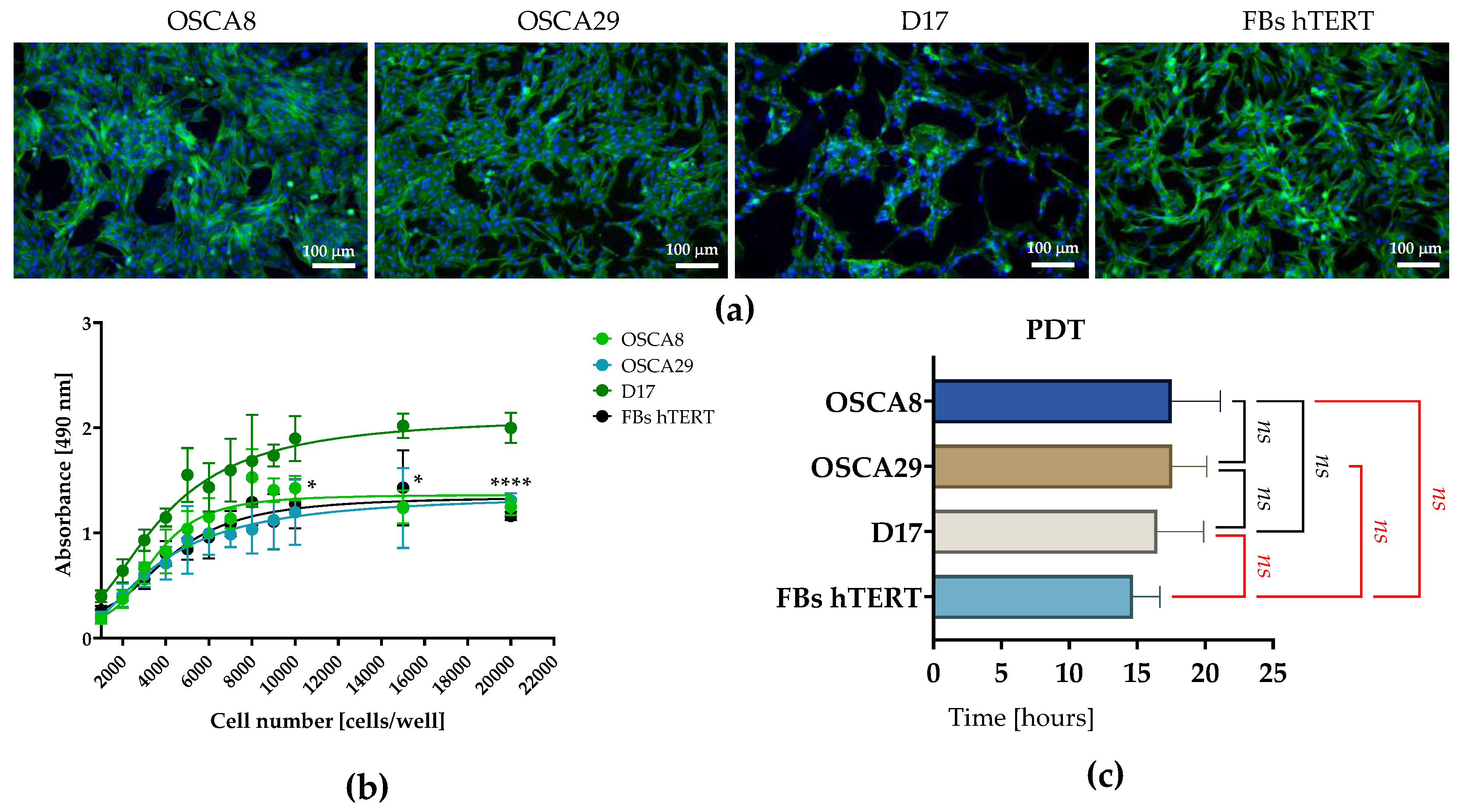 Preprints 207692 g001