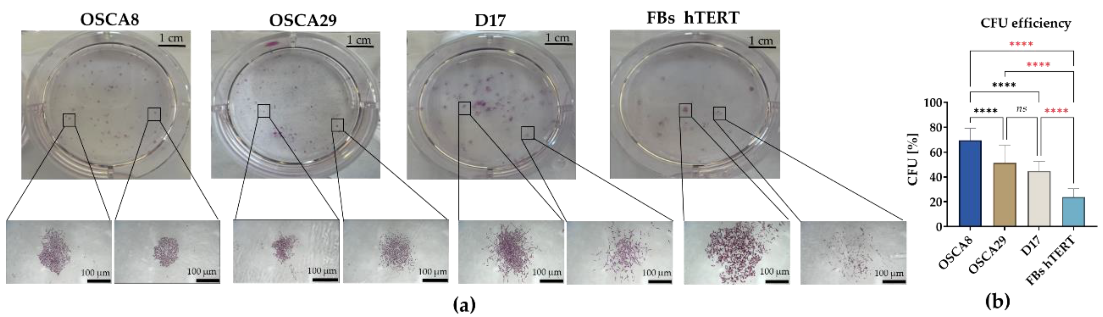 Preprints 207692 g003
