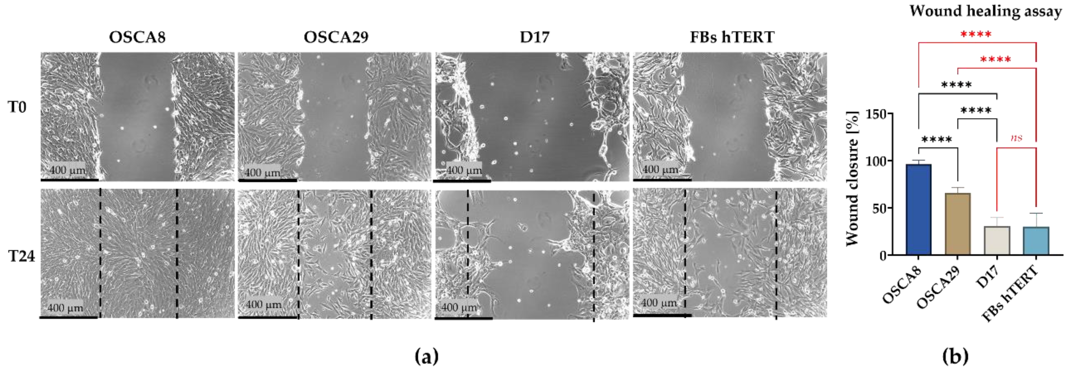 Preprints 207692 g004