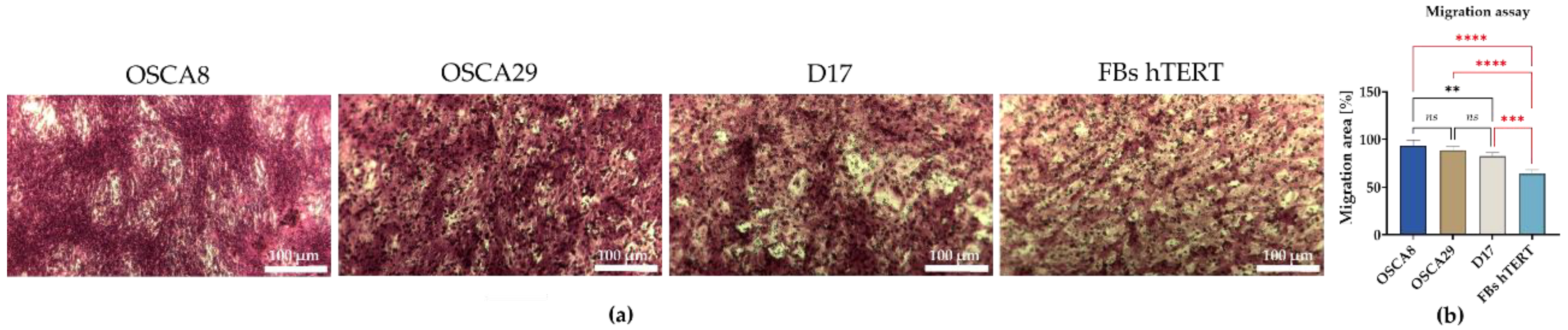 Preprints 207692 g005