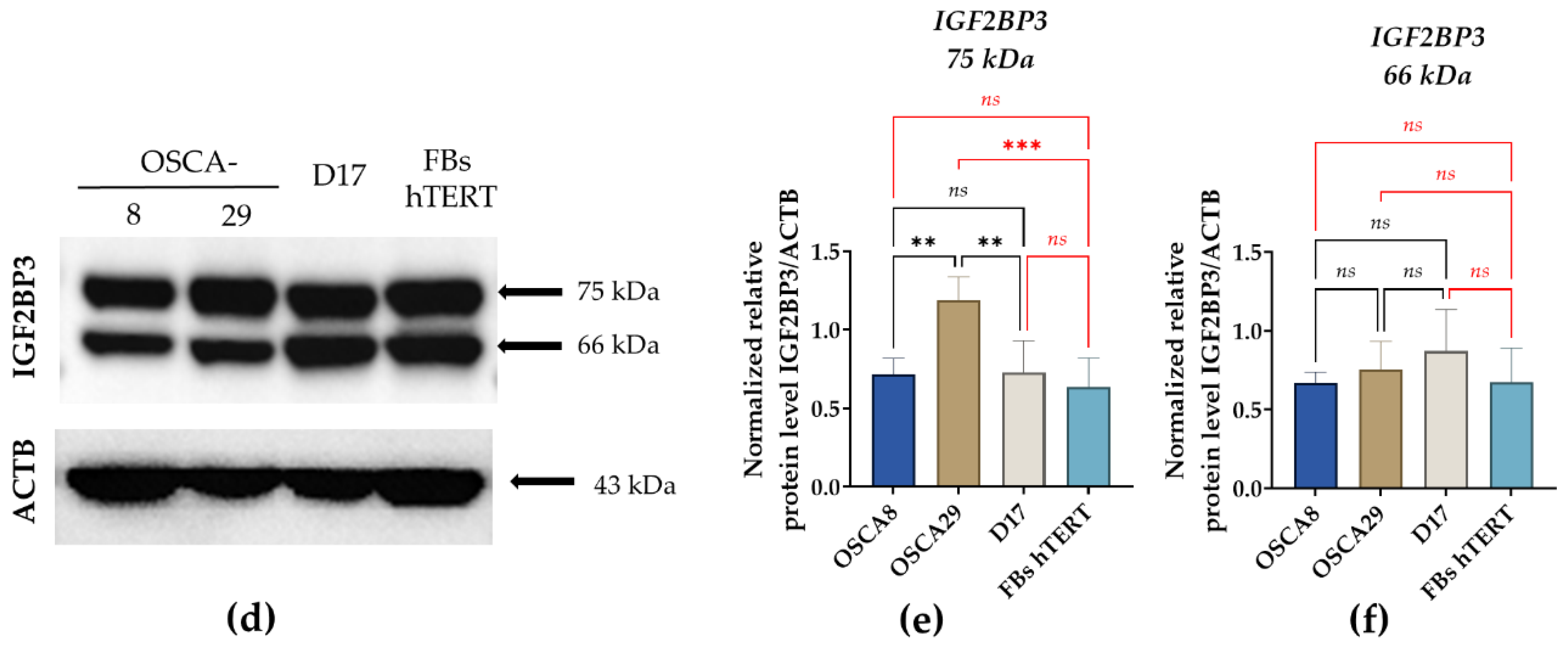 Preprints 207692 g006b