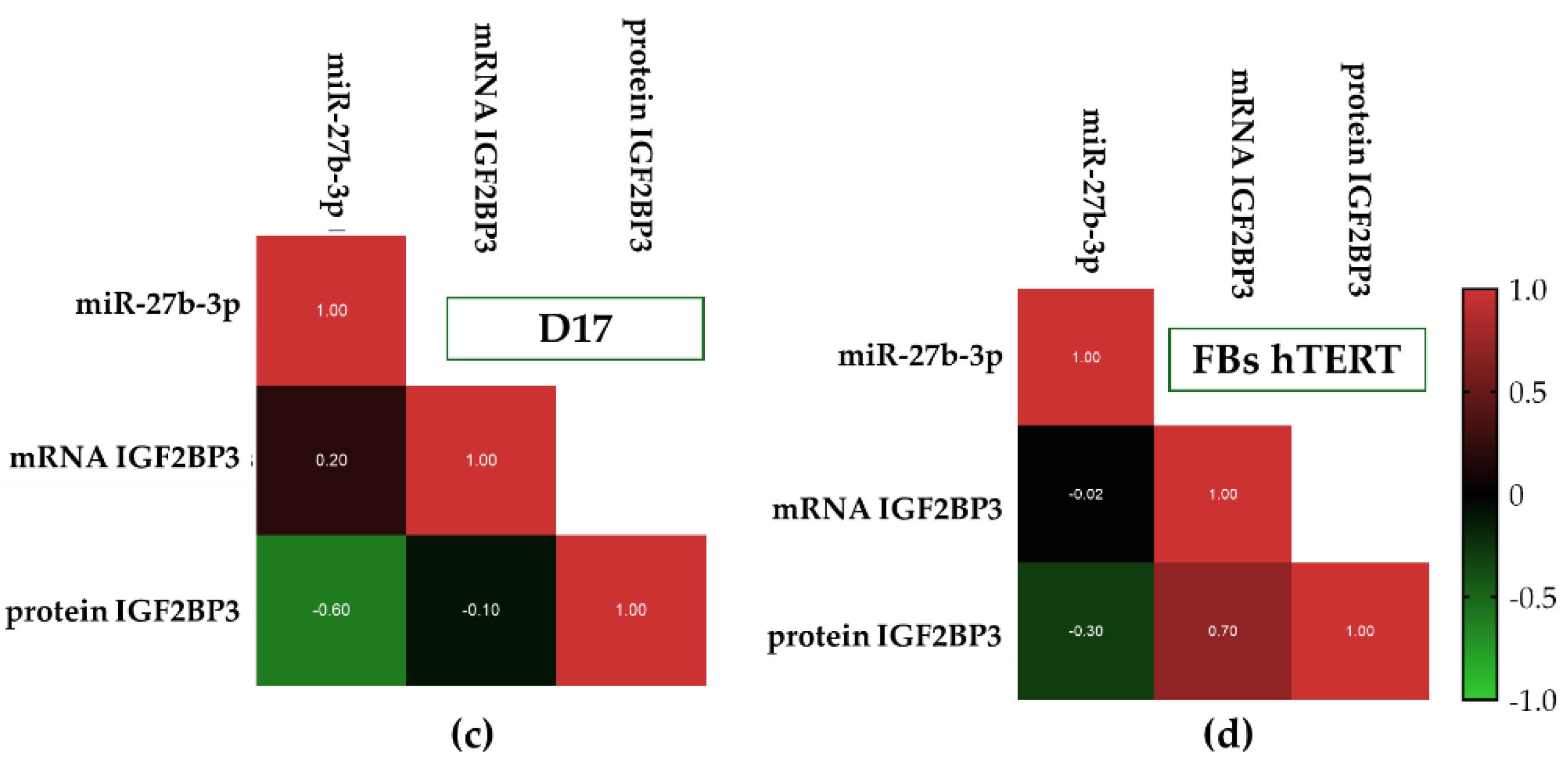 Preprints 207692 g007b