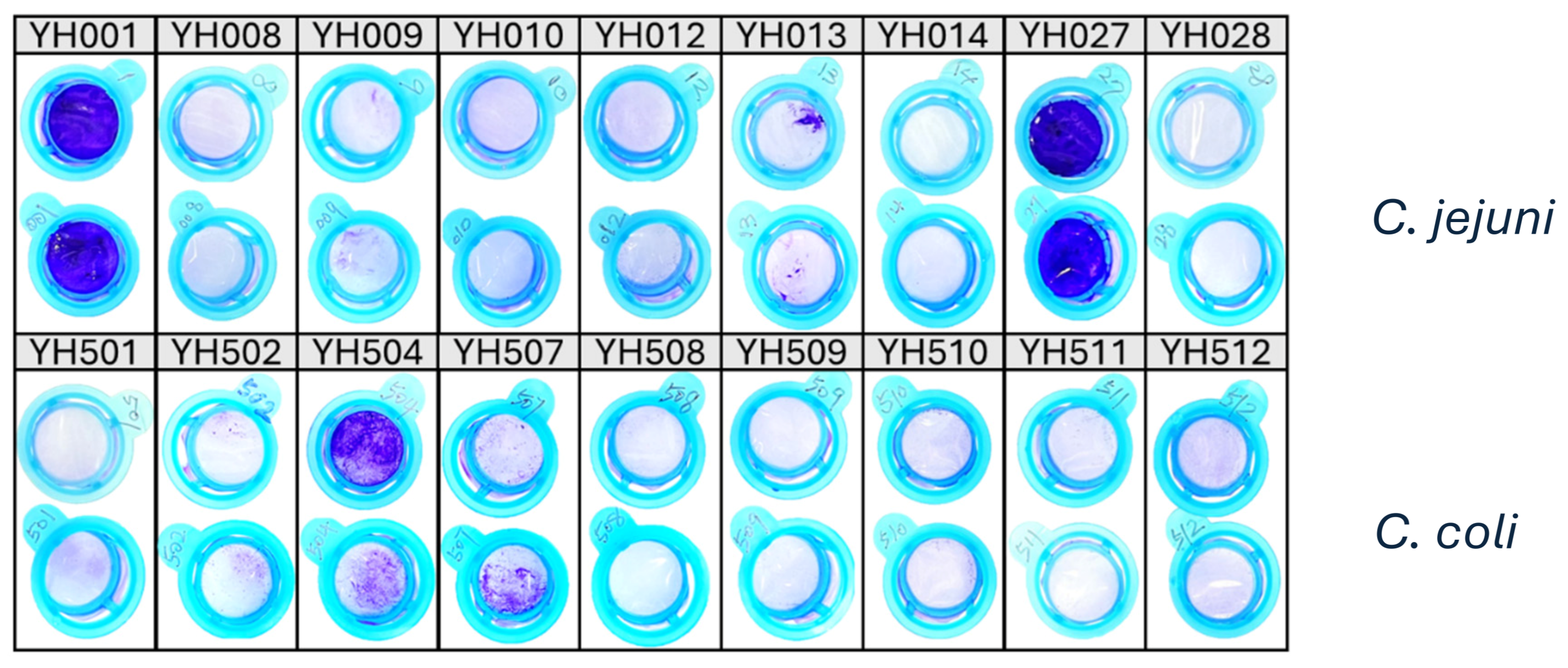 Preprints 198261 g001