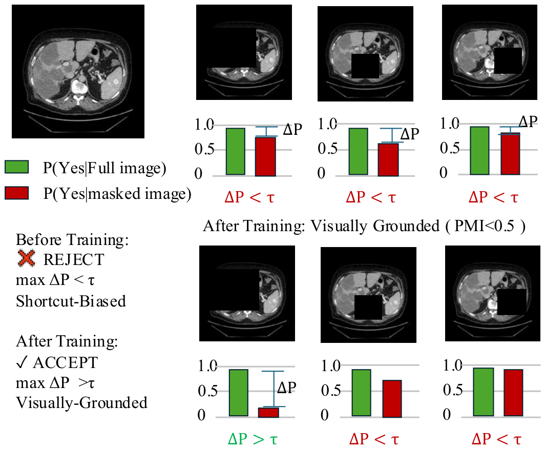 Causal Dual-Interventional MedVQA via Textual Perturbation and ...