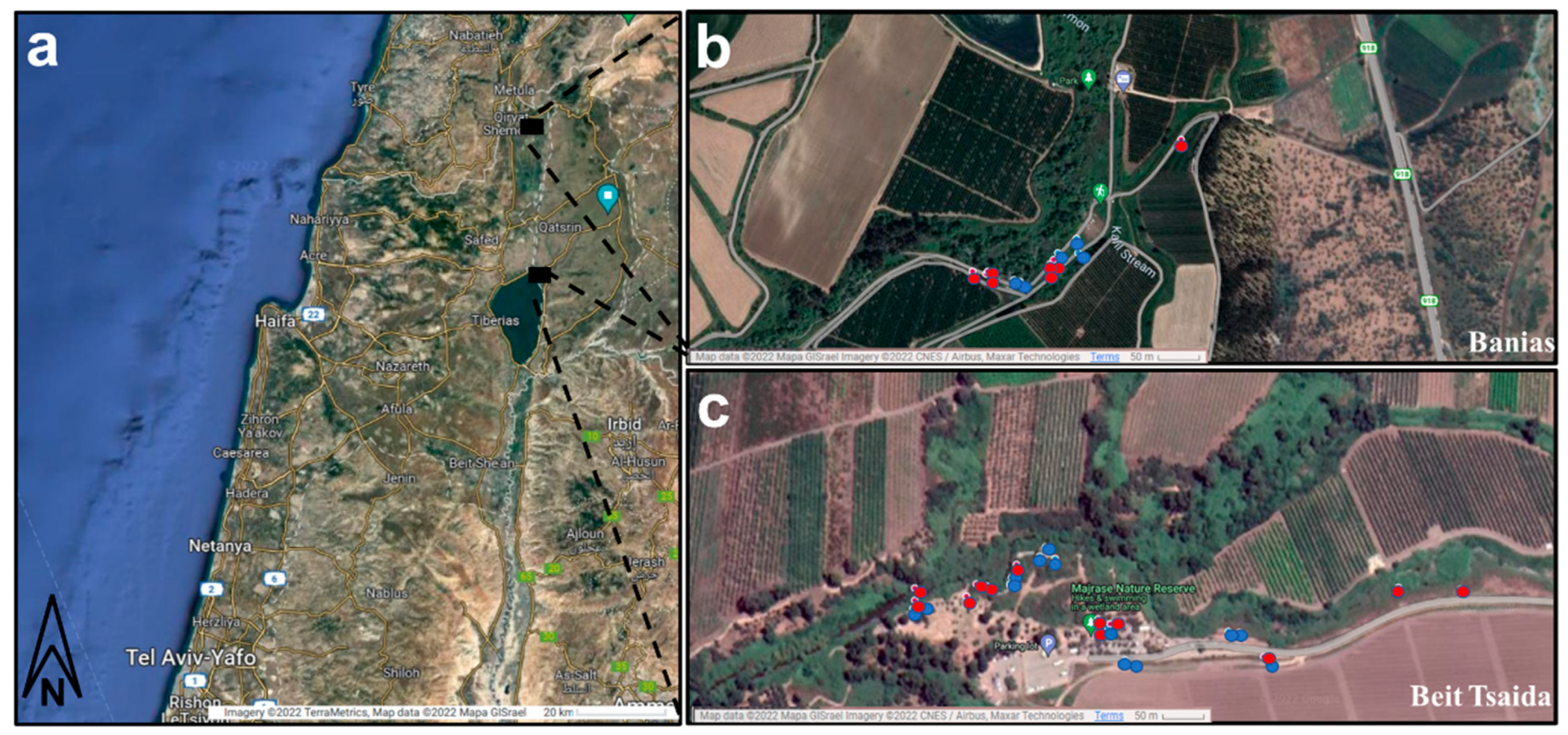 Preprints 81154 g001