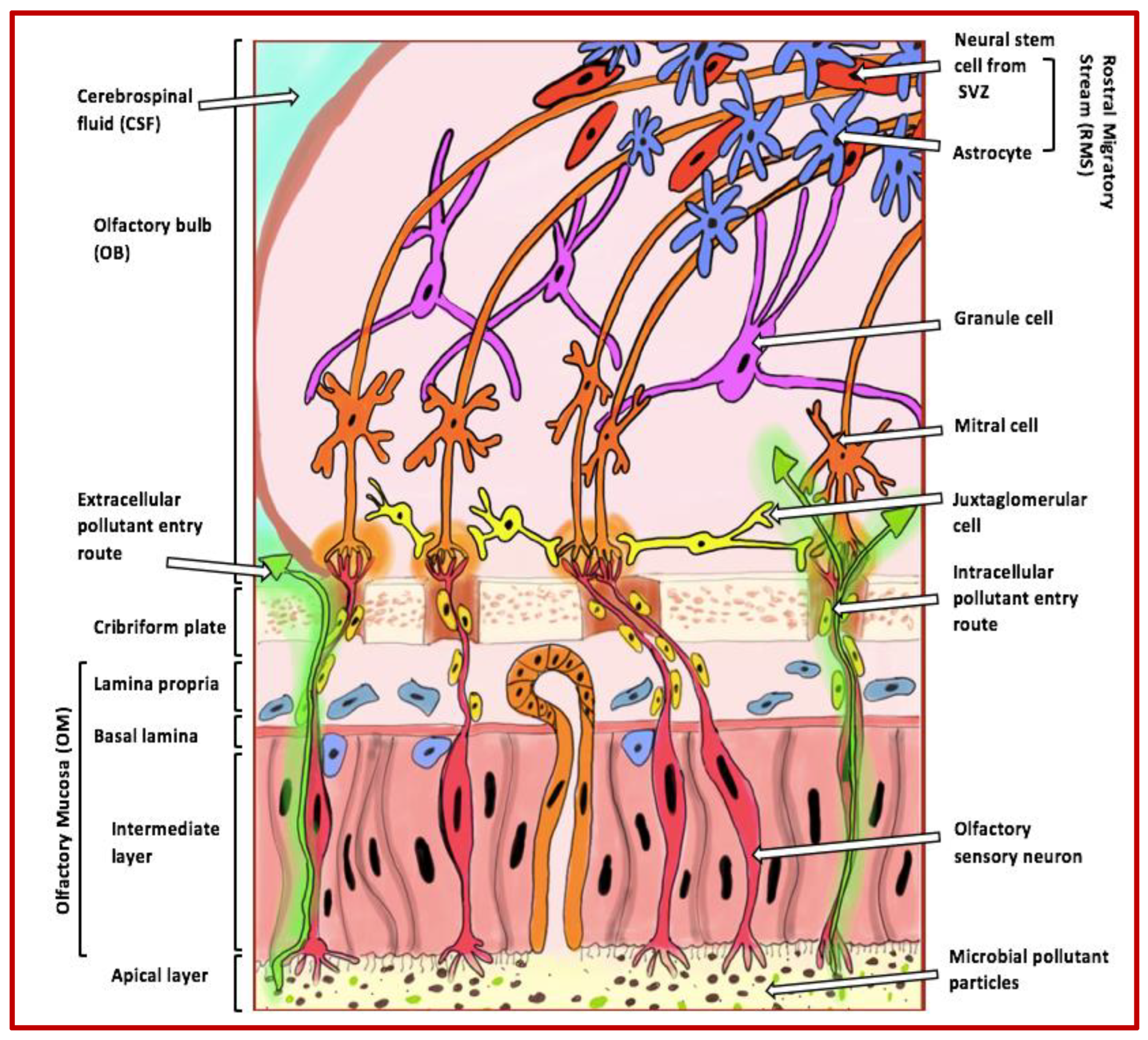 Preprints 141172 g001