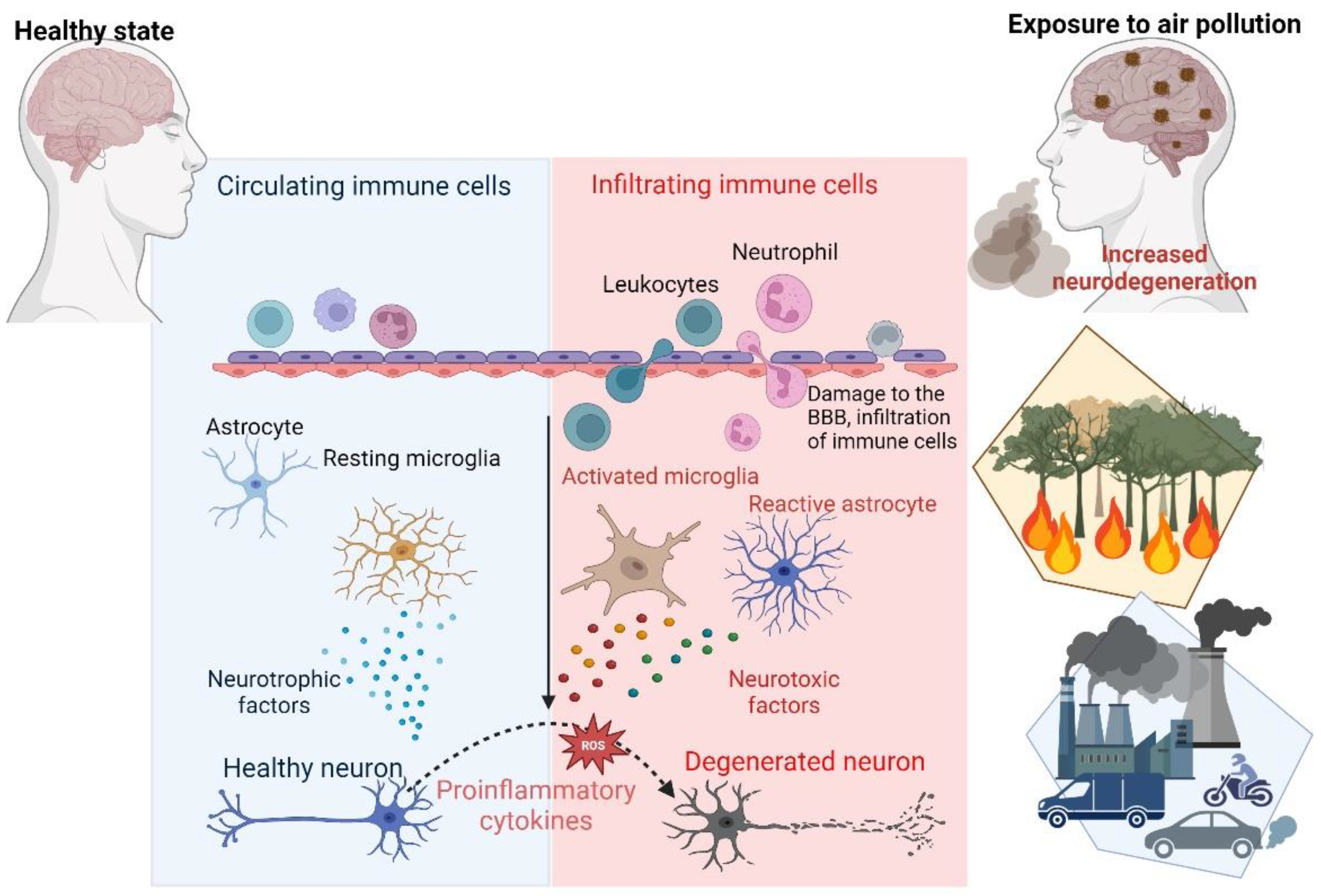 Preprints 141172 g002