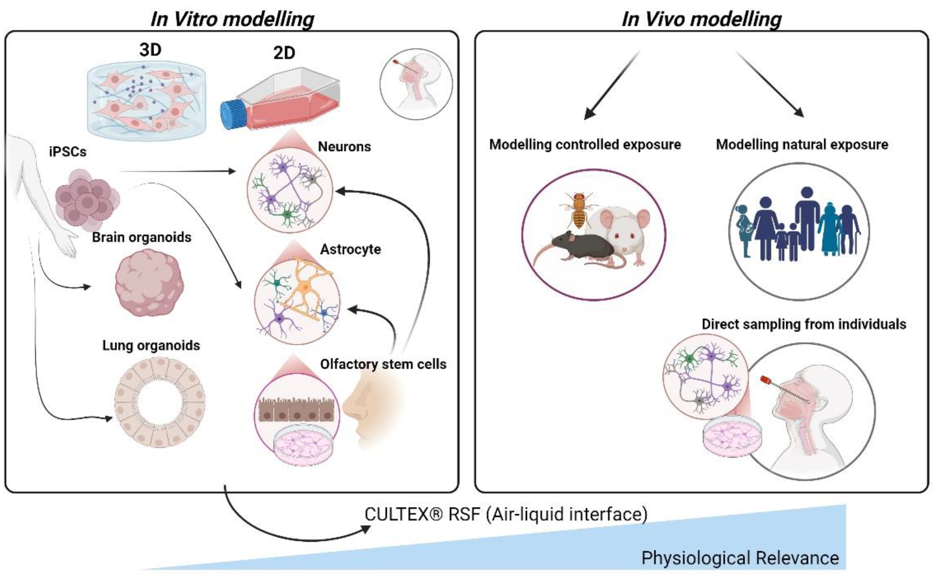 Preprints 141172 g003