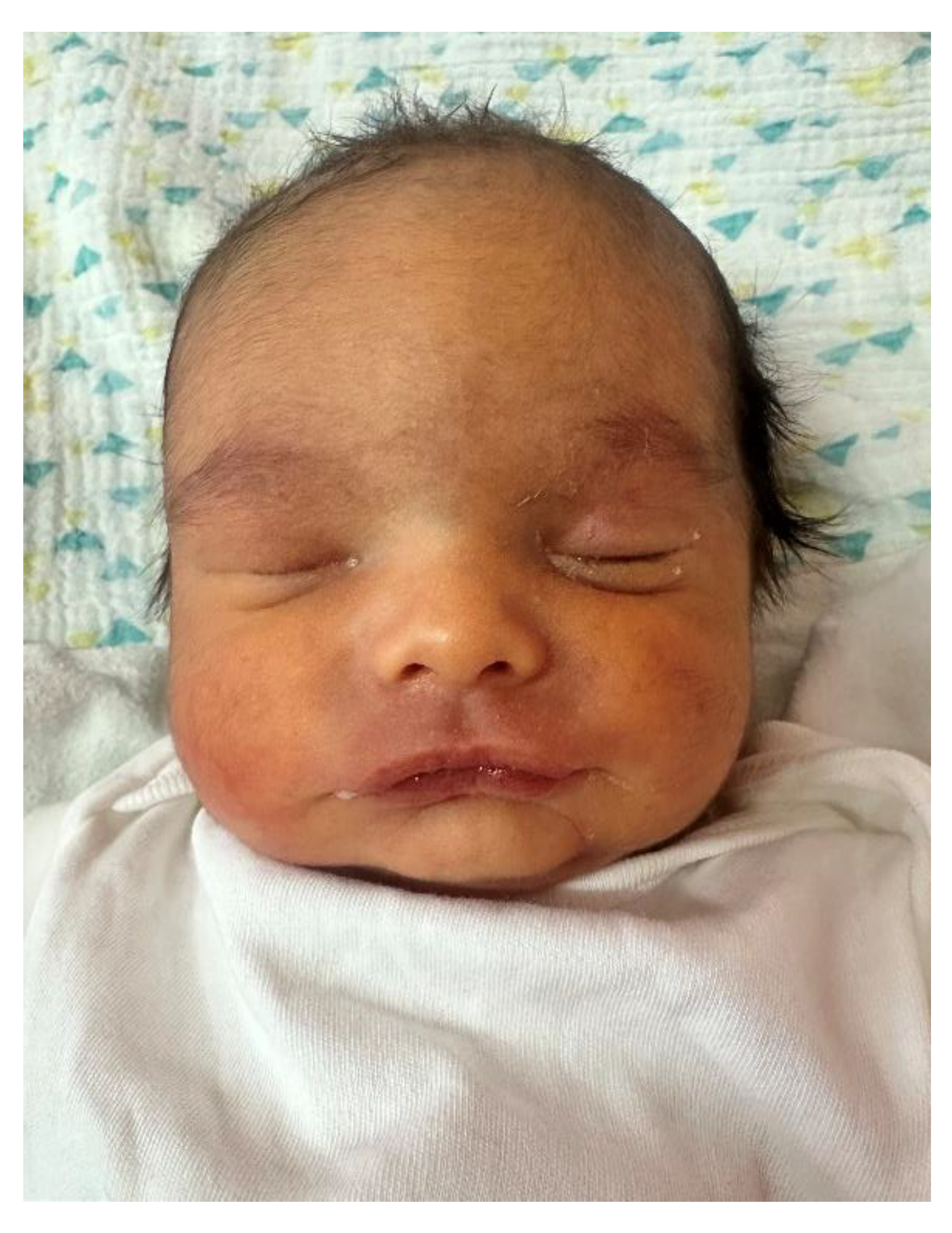 Preprints 189783 g001