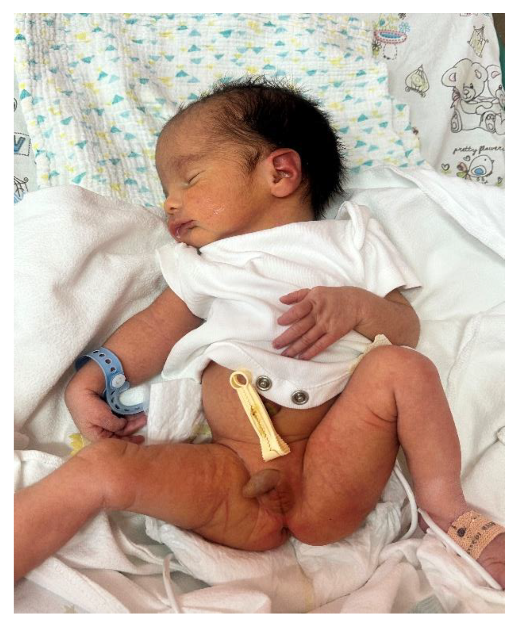 Preprints 189783 g003