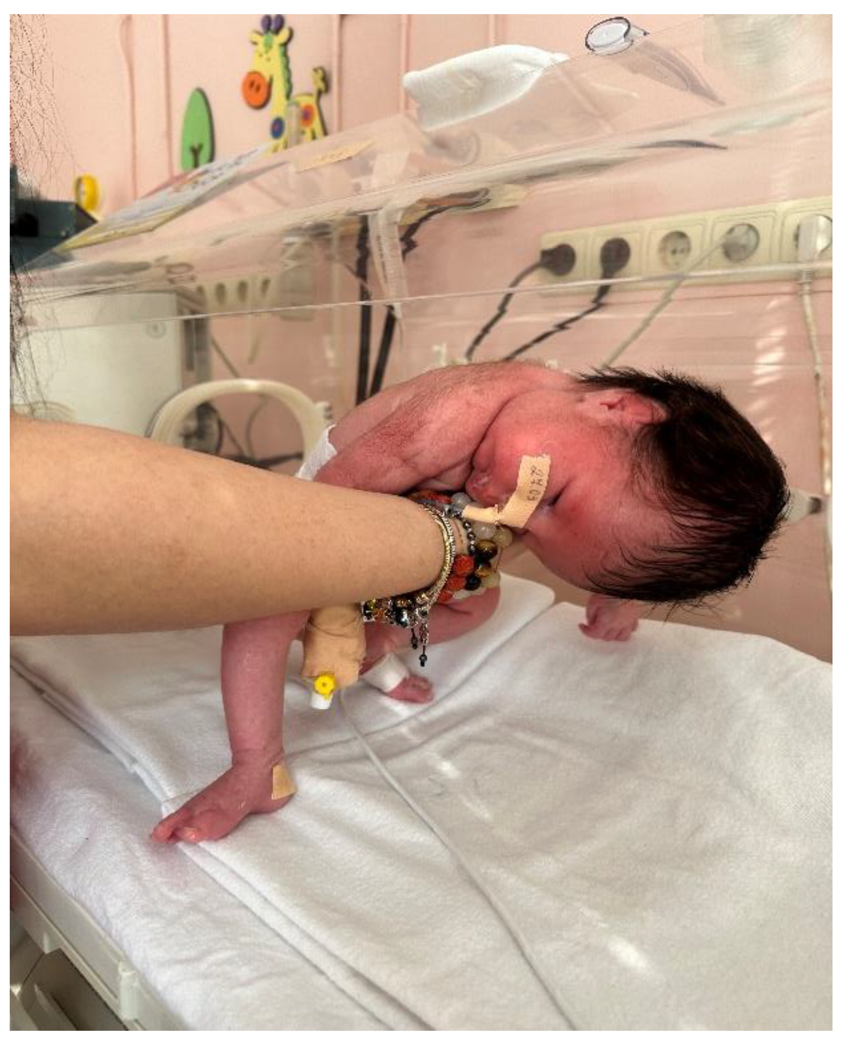 Preprints 189783 g004