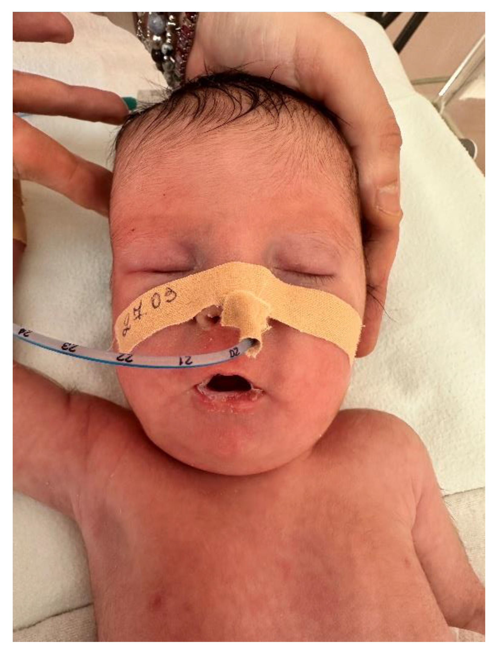 Preprints 189783 g005