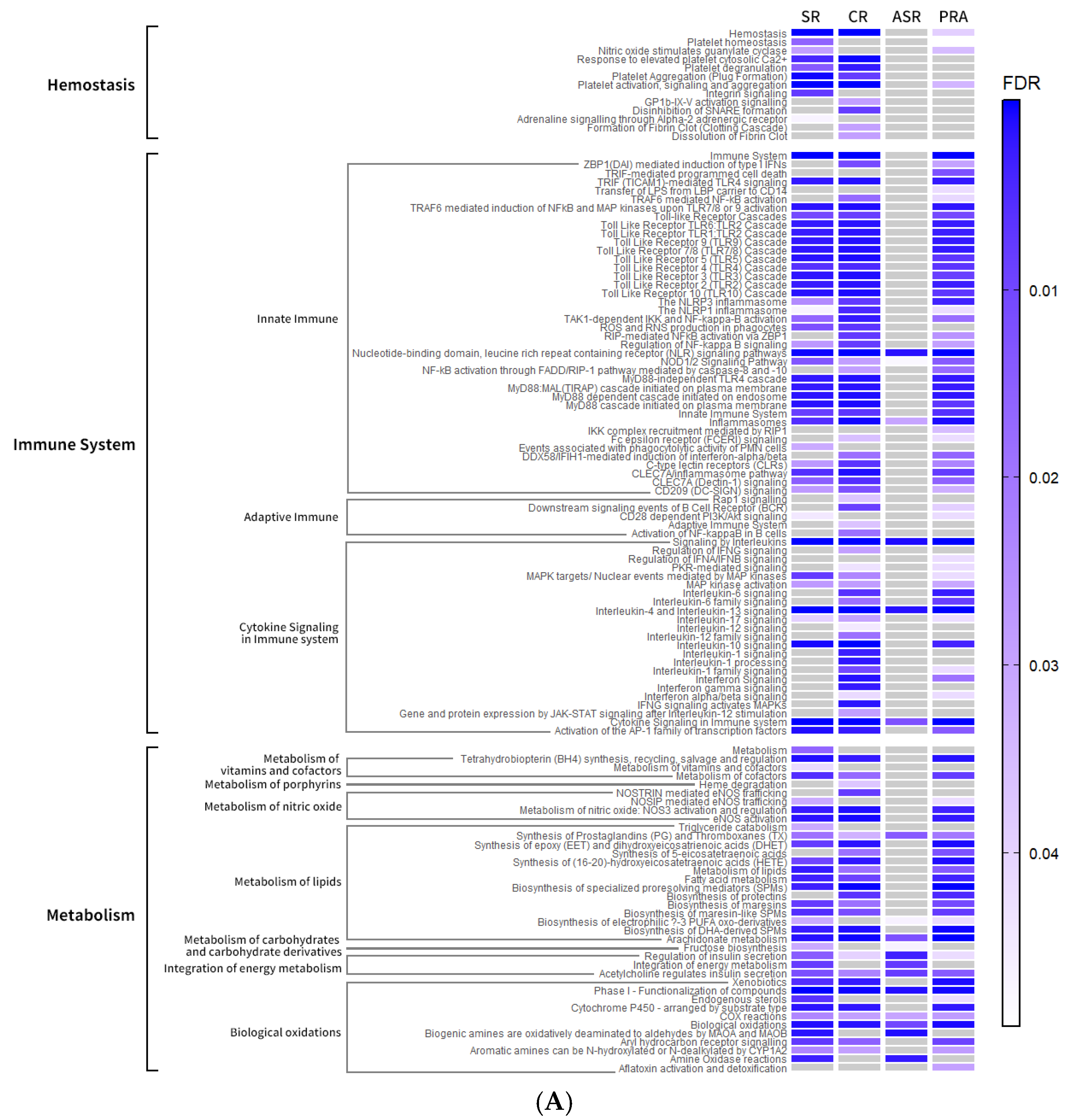 Preprints 225450 g006a Preprints 225450 g006a
