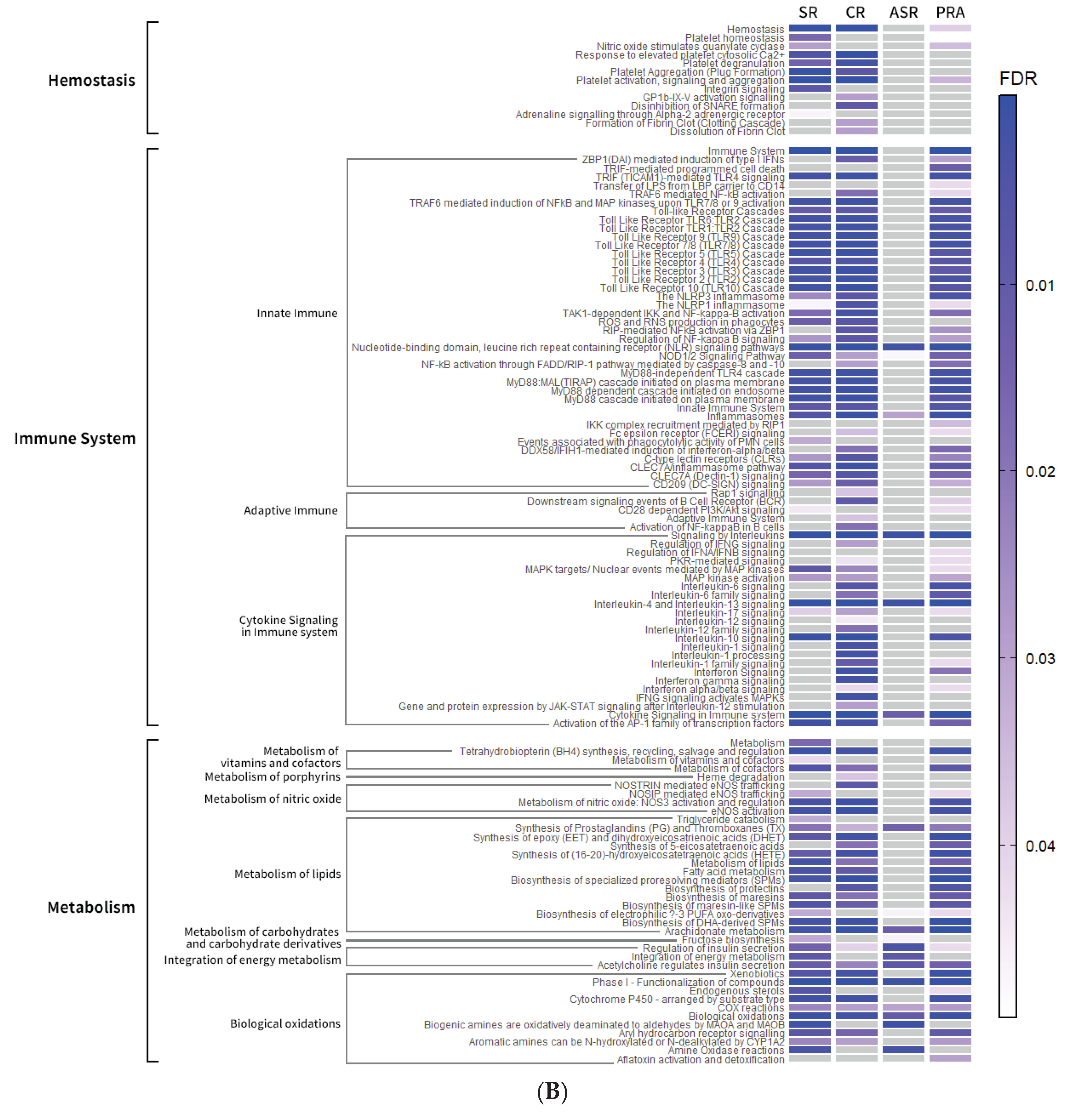 Preprints 225450 g006b