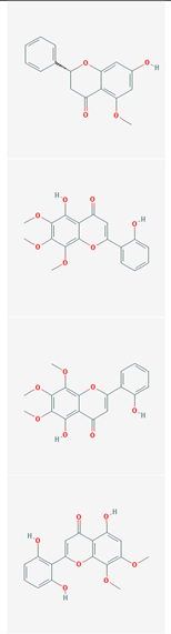 Preprints 225450 i001 Preprints 225450 i001