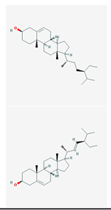 Preprints 225450 i008 Preprints 225450 i008