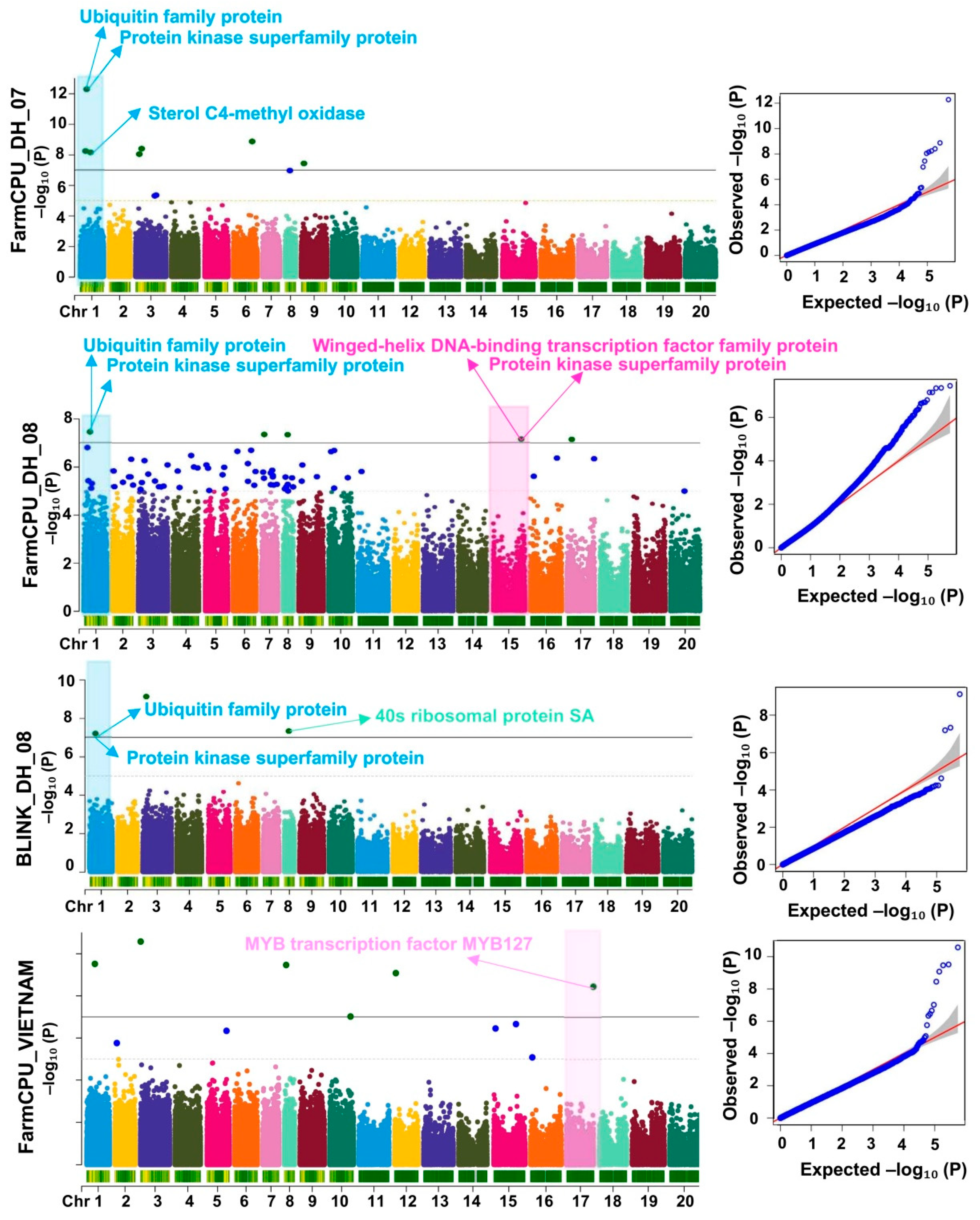 Preprints 201427 g002