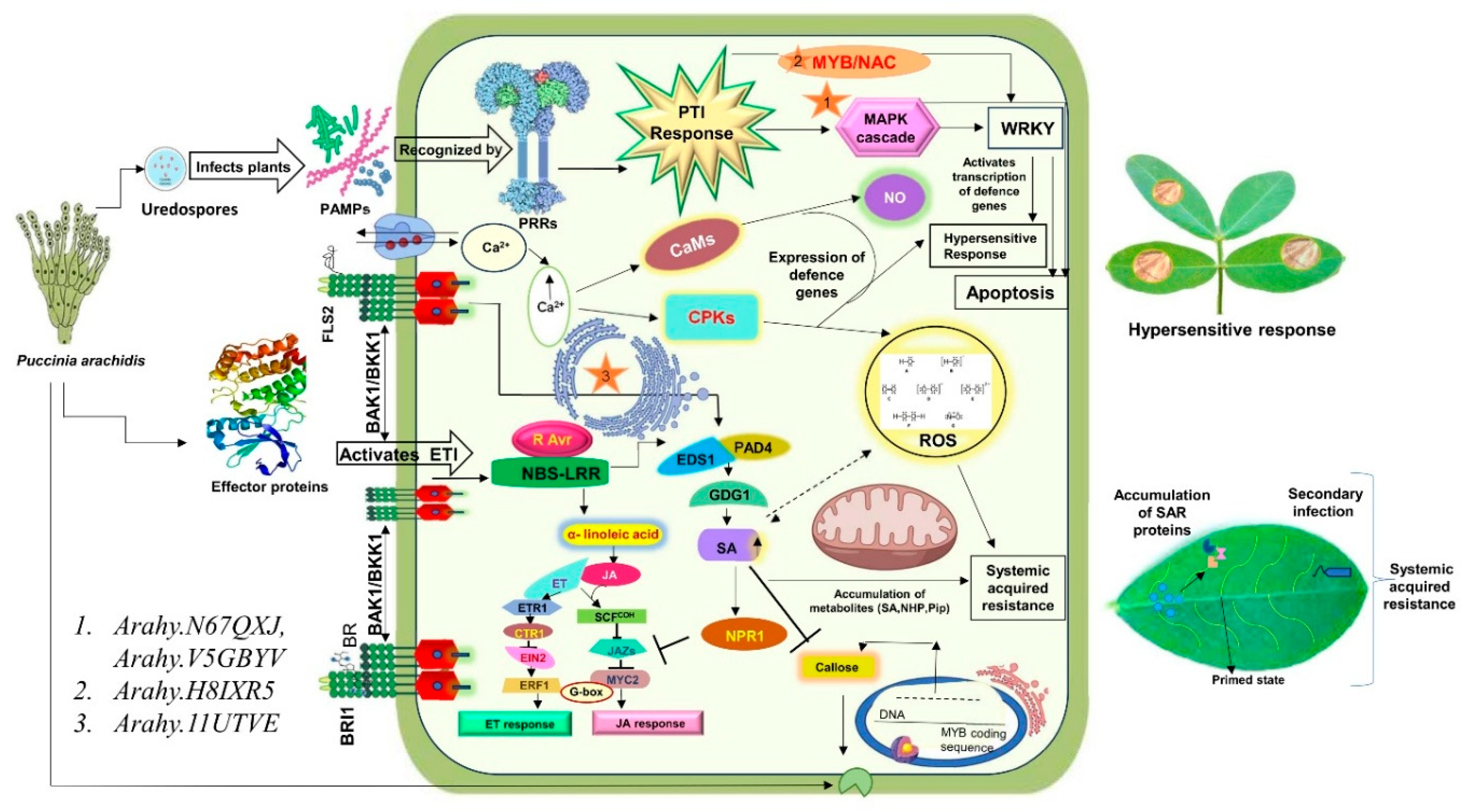 Preprints 201427 g004