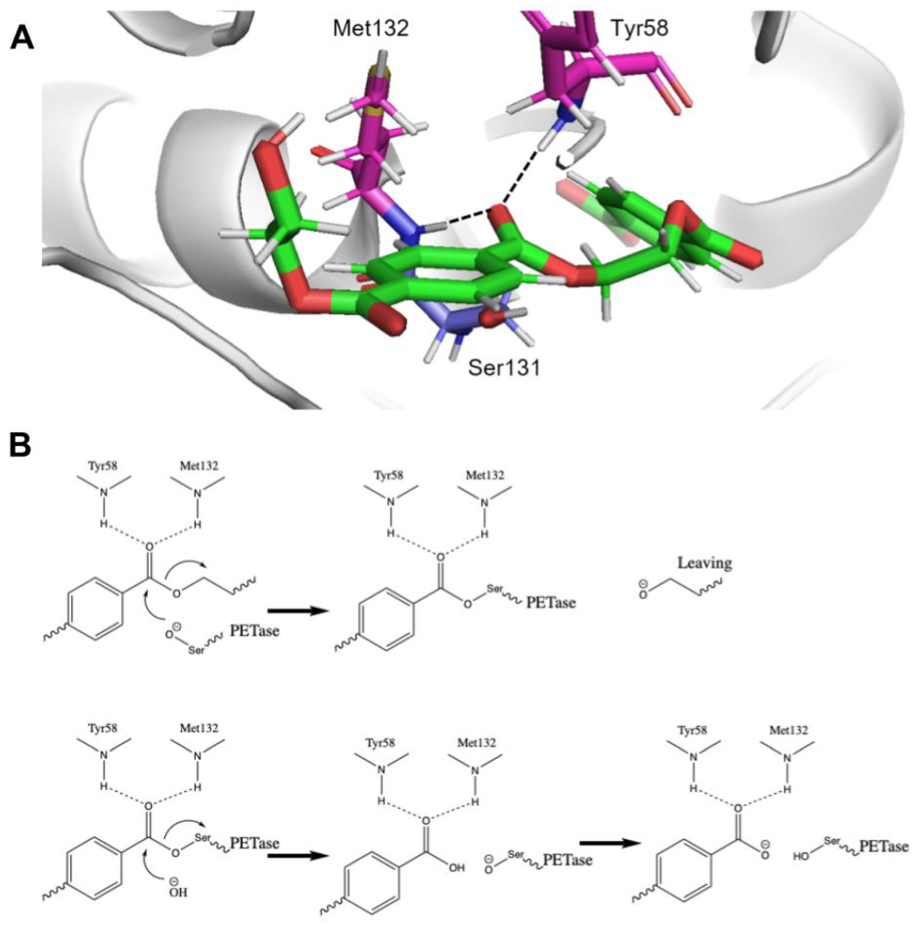 Preprints 197331 g002