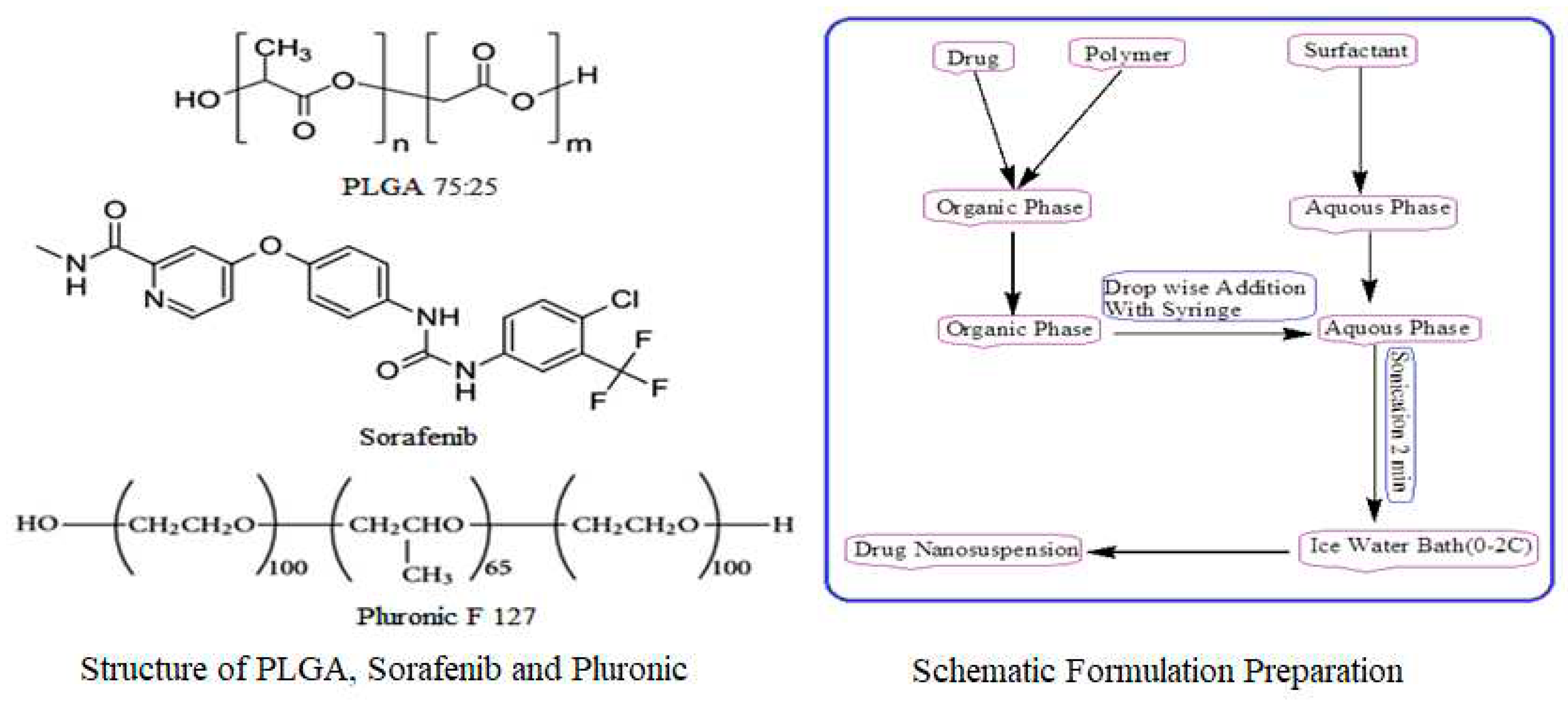 Preprints 93548 g008