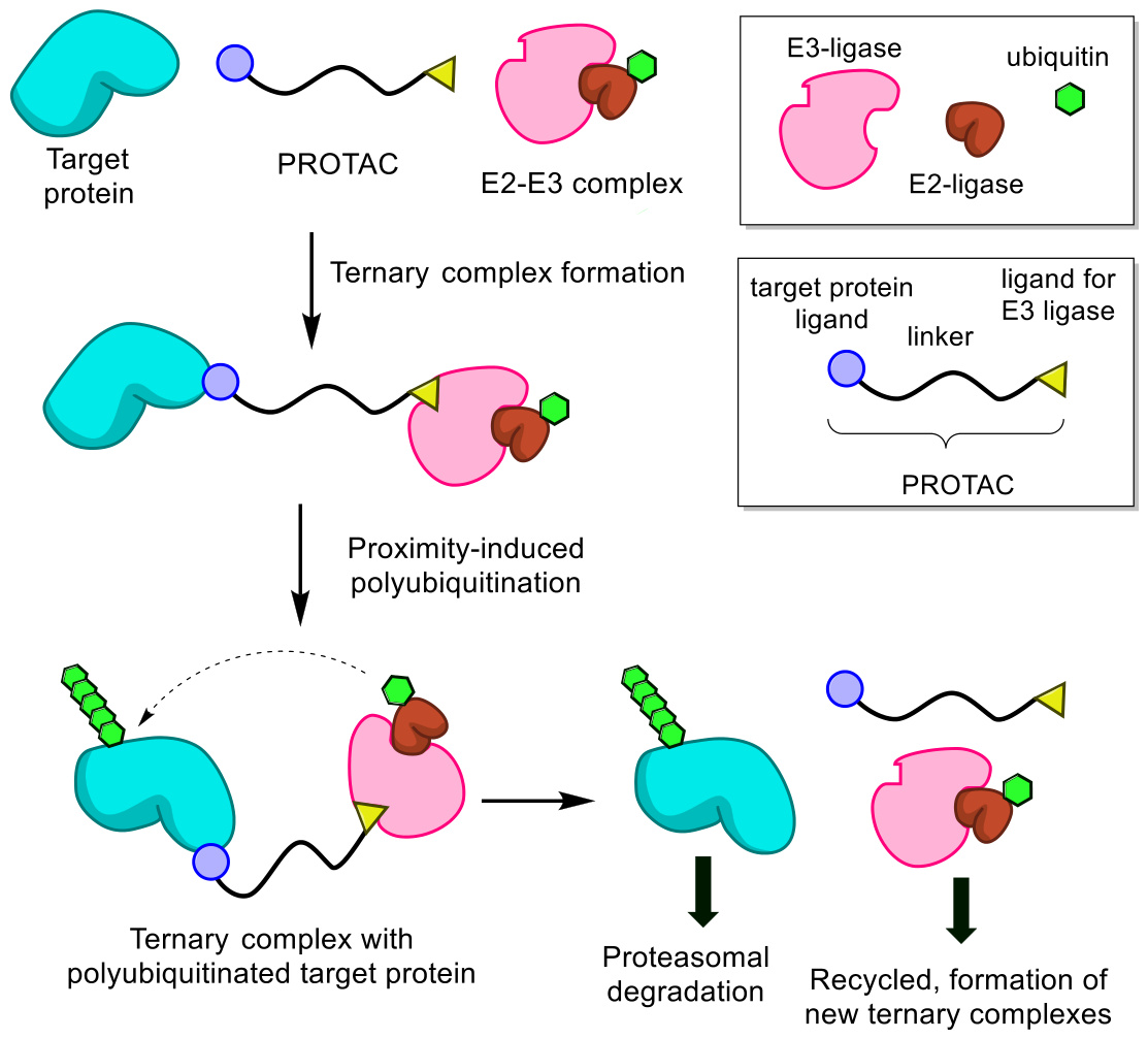 Preprints 216757 g002