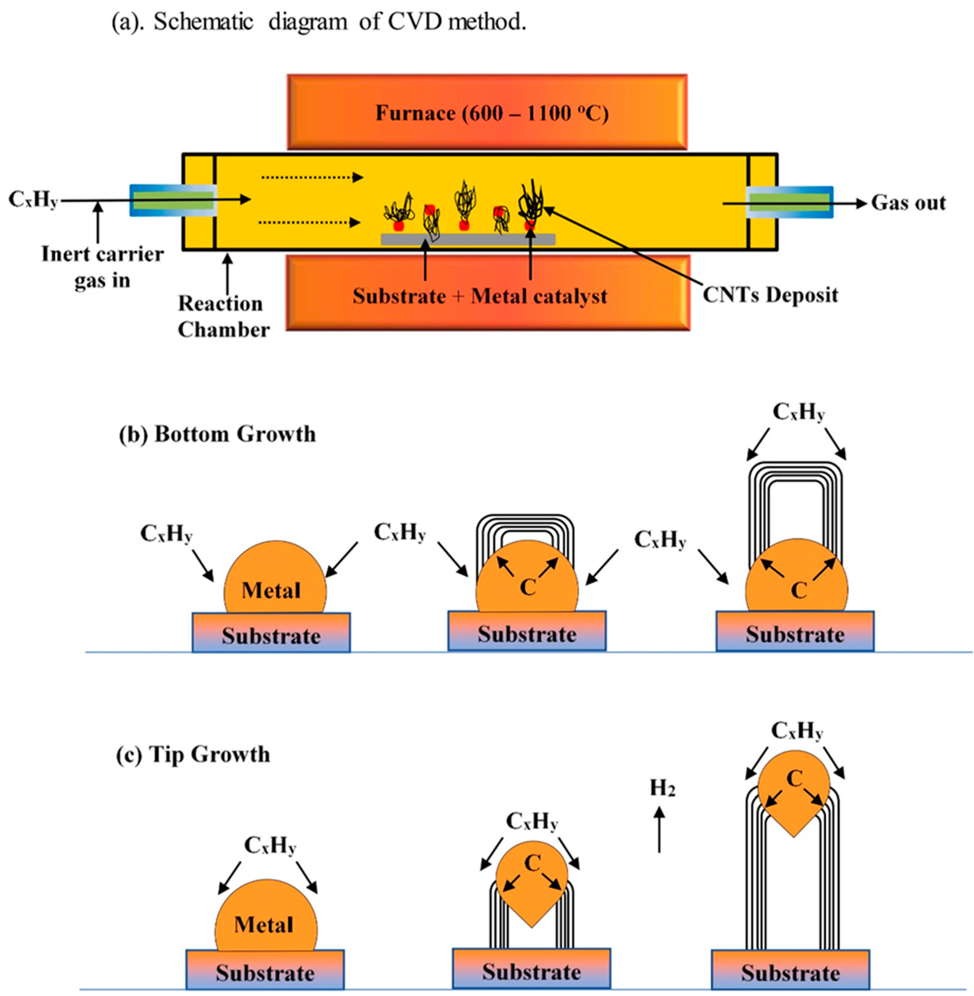 Preprints 140794 g015