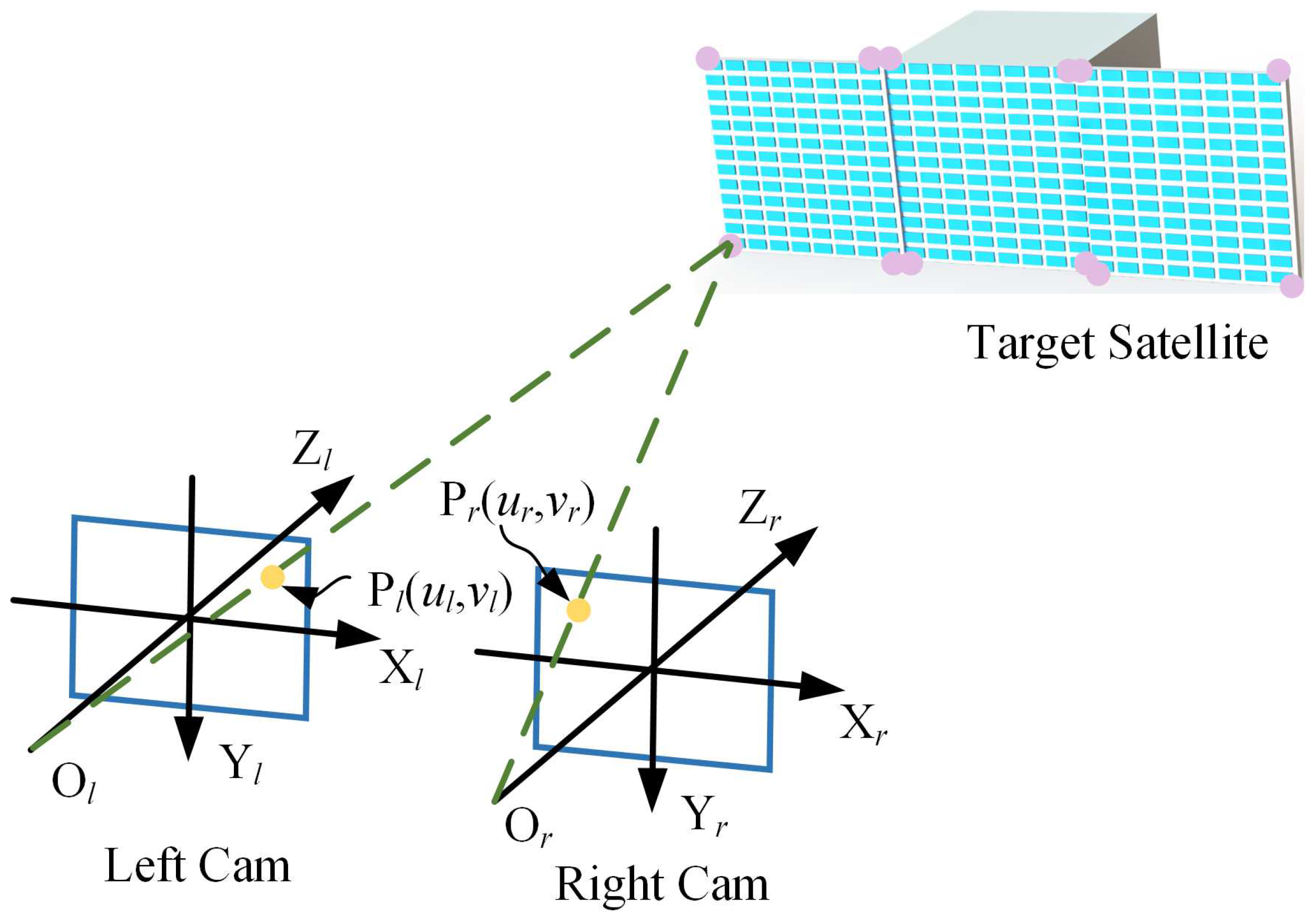 Preprints 95018 g008