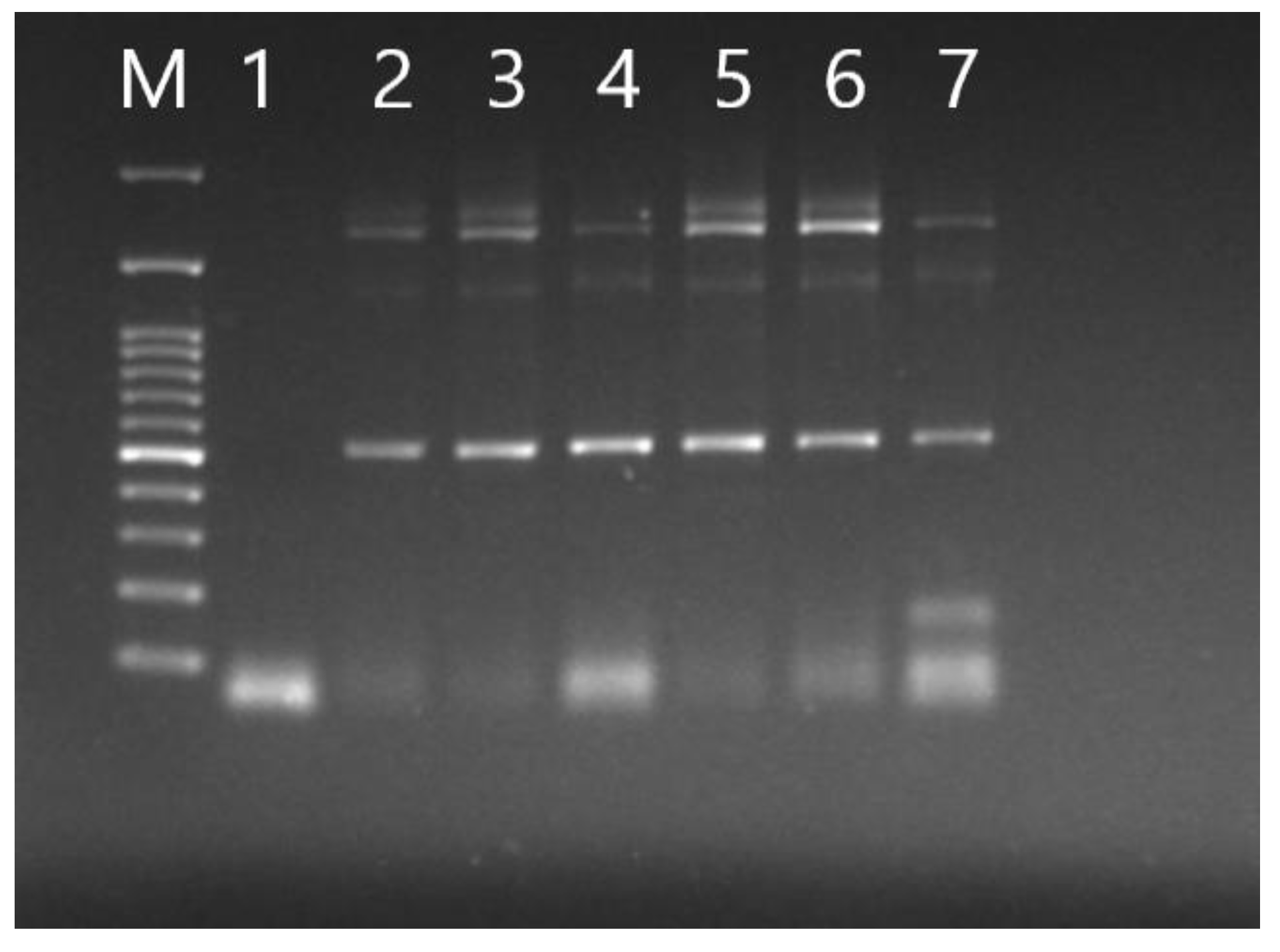 Preprints 186596 g002