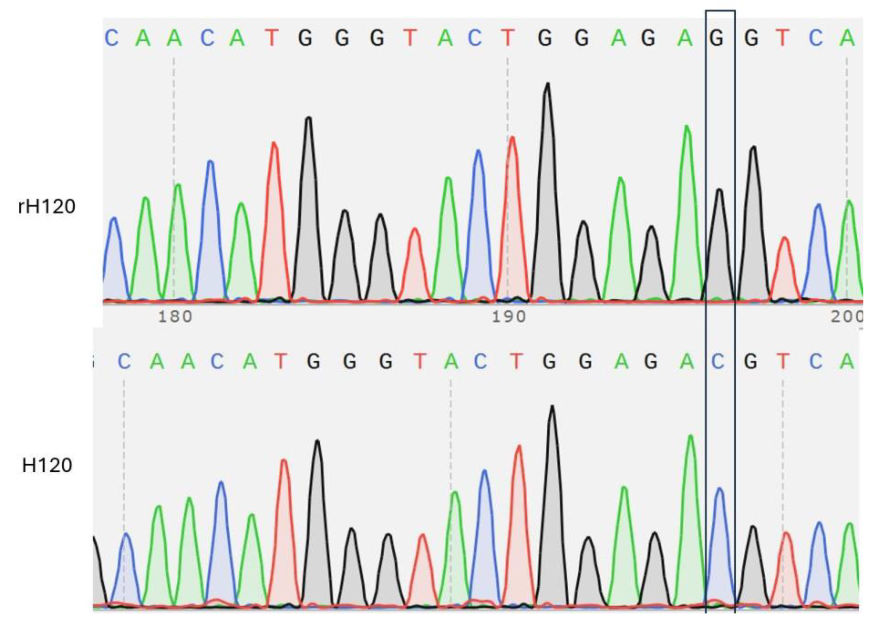 Preprints 186596 g003