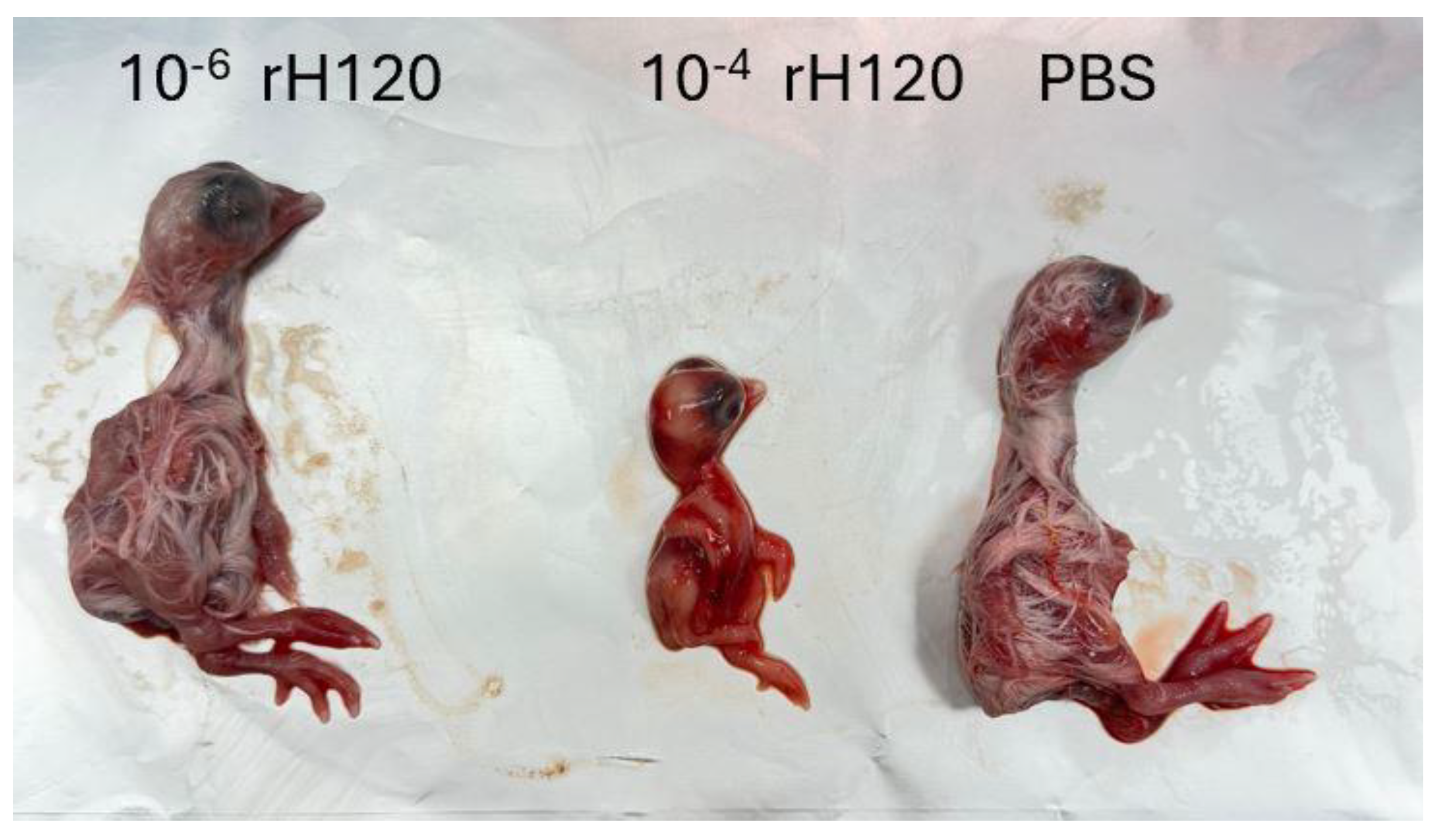 Preprints 186596 g004