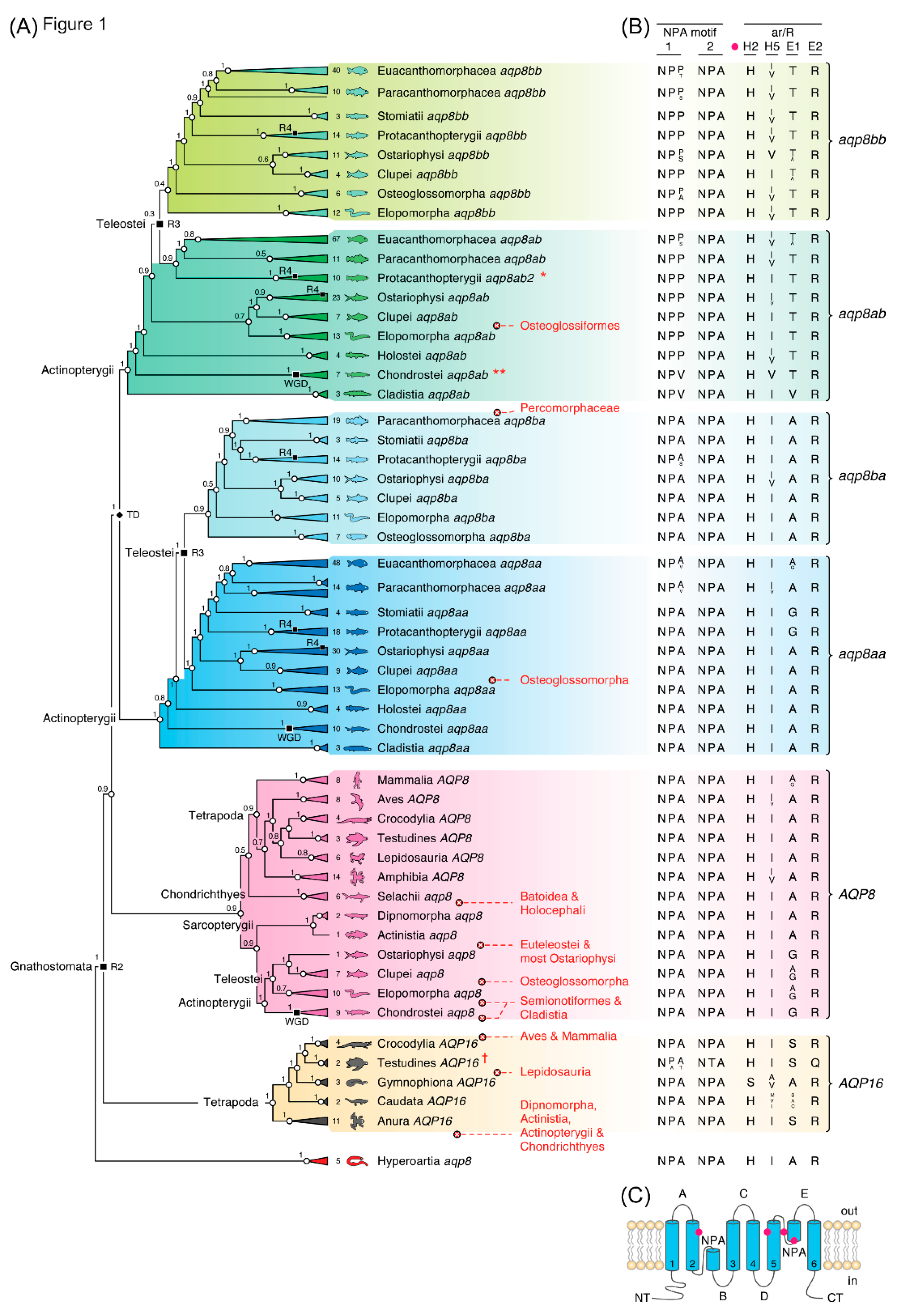 Preprints 203775 g001 Preprints 203775 g001