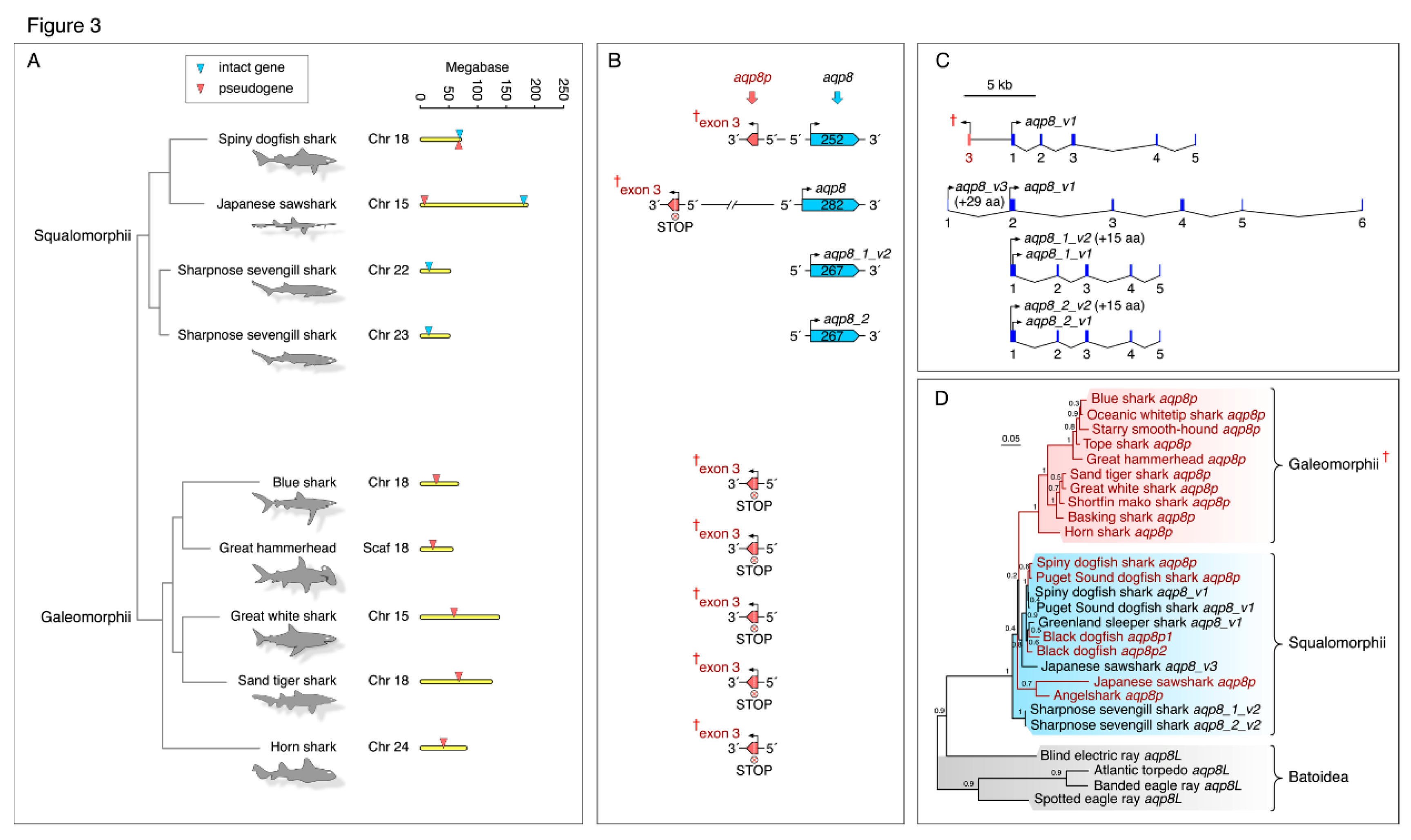 Preprints 203775 g003 Preprints 203775 g003