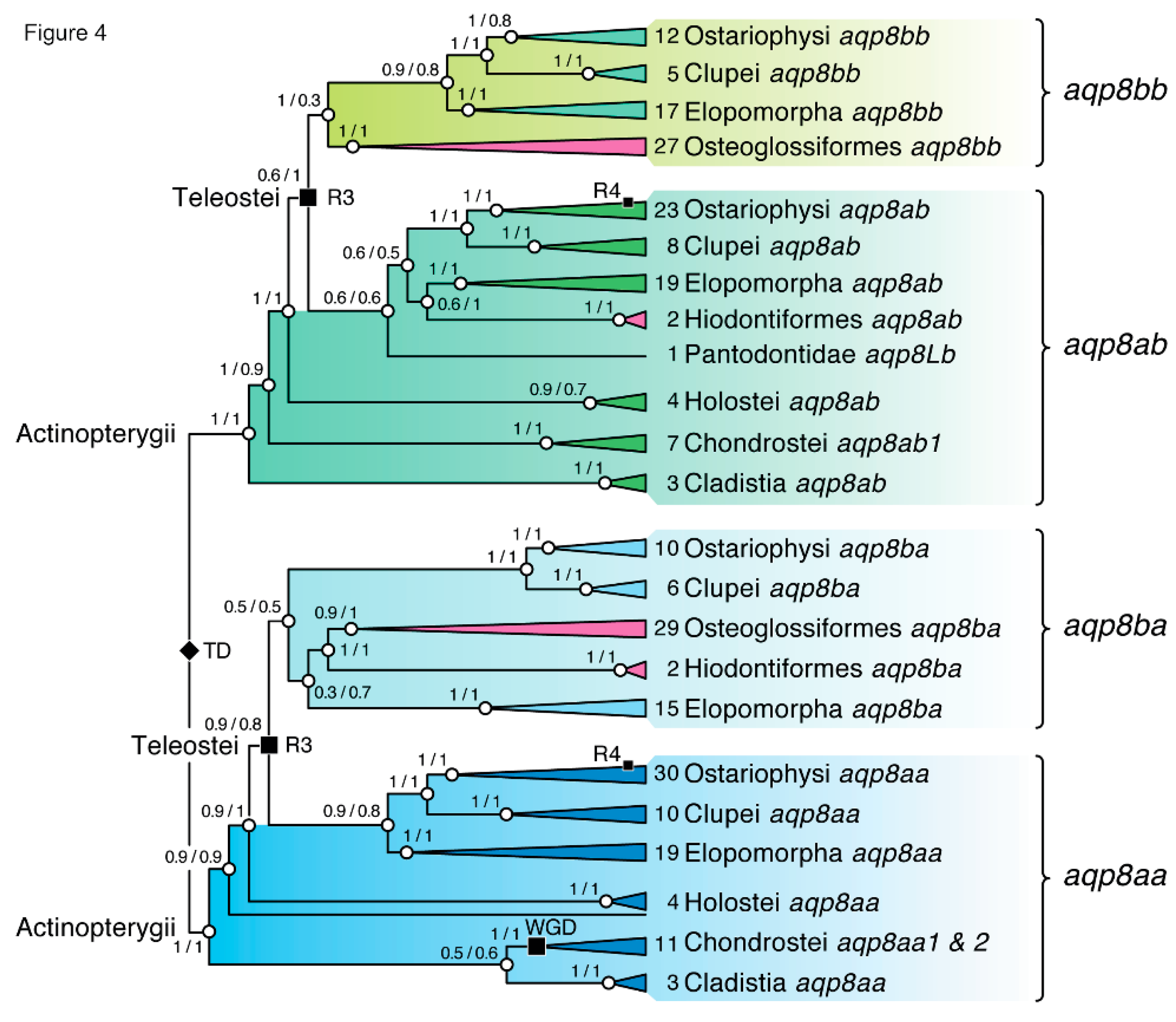 Preprints 203775 g004 Preprints 203775 g004