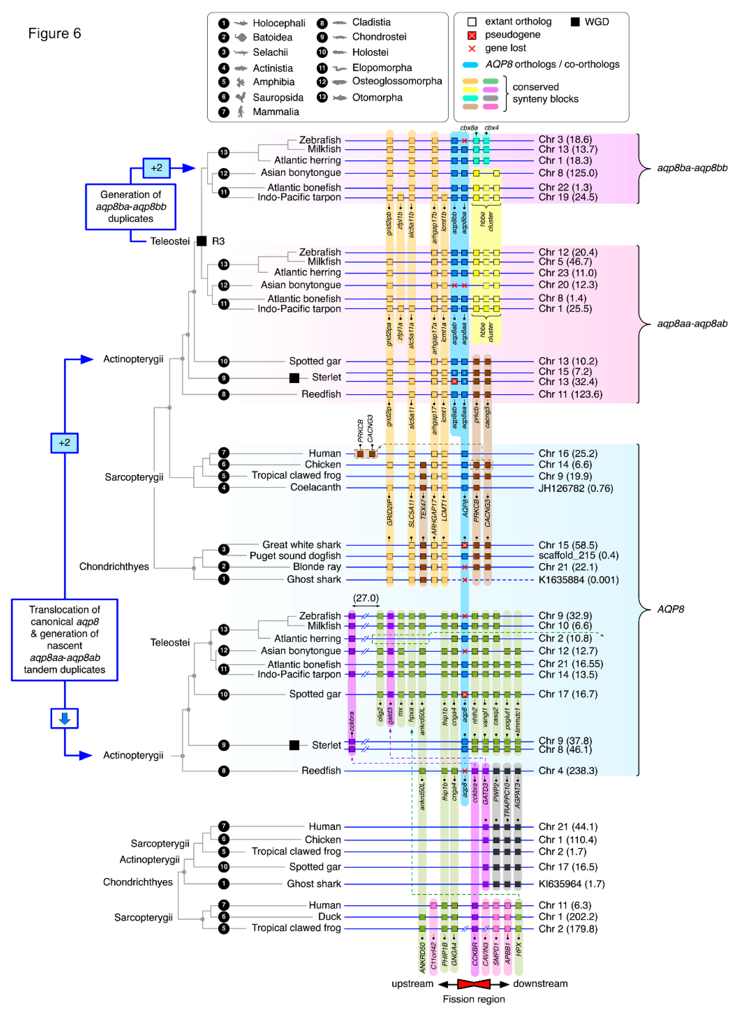 Preprints 203775 g006 Preprints 203775 g006