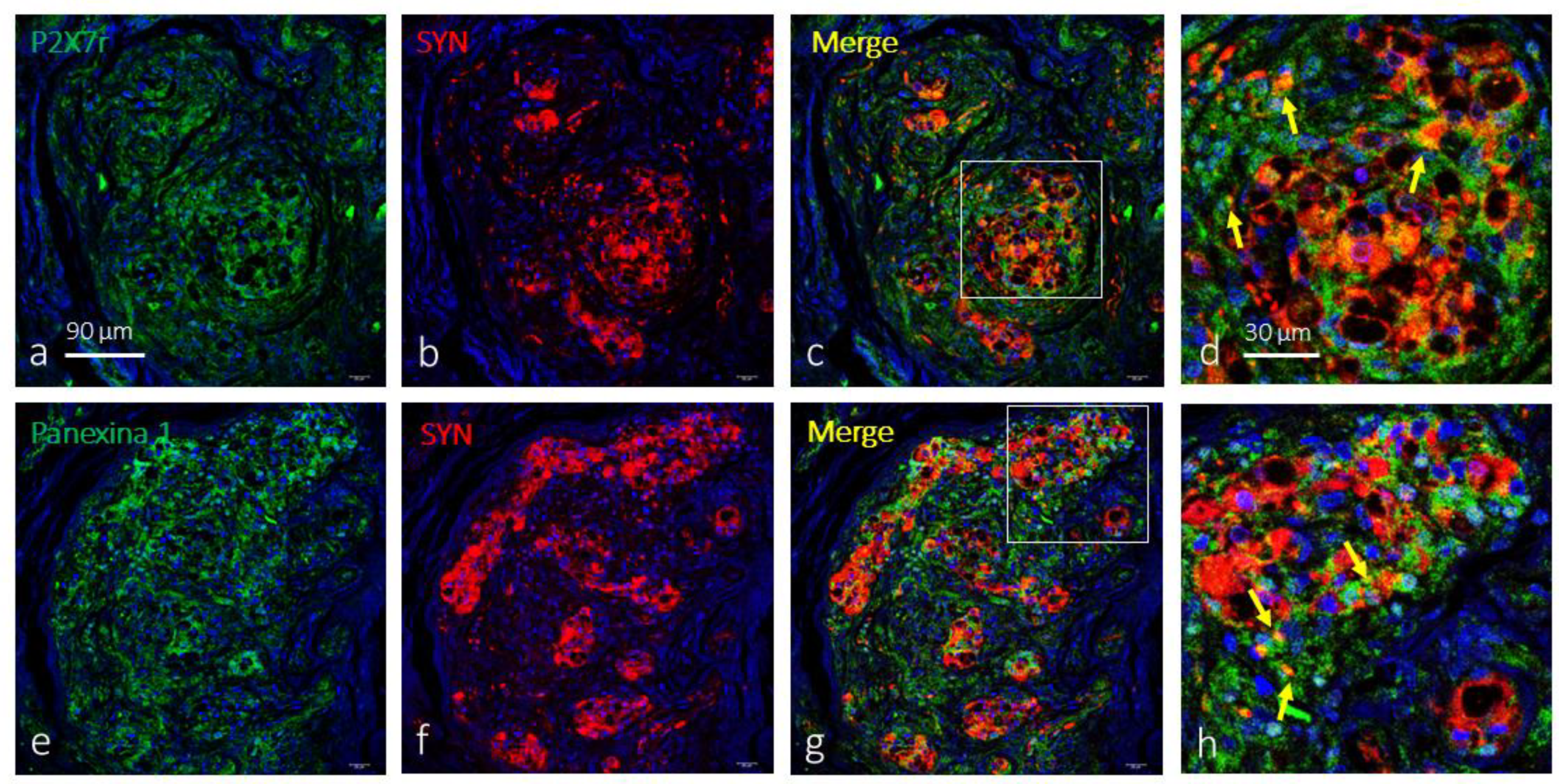 Preprints 177852 g002