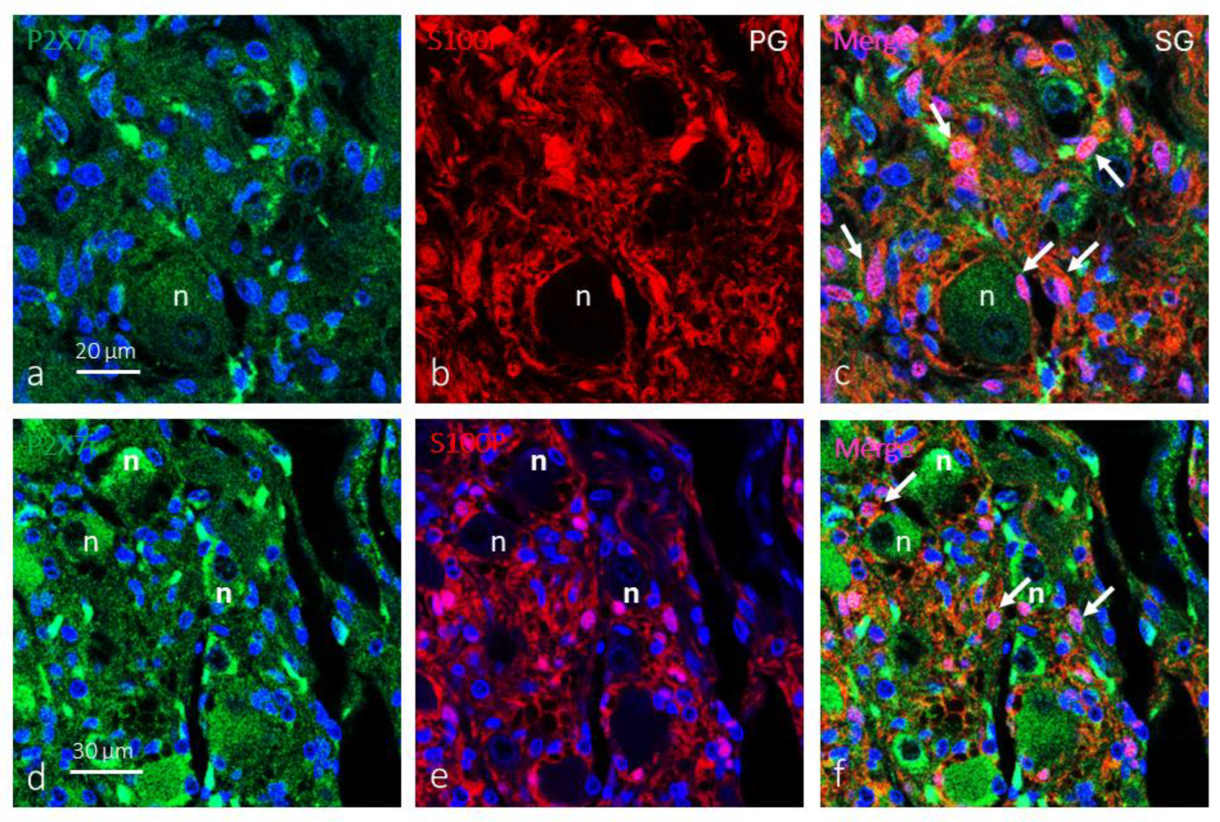 Preprints 177852 g005