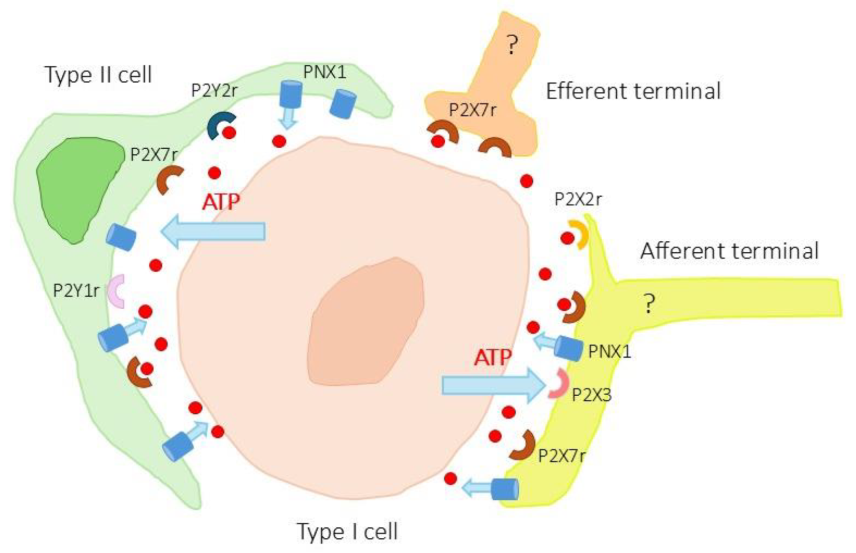 Preprints 177852 g006